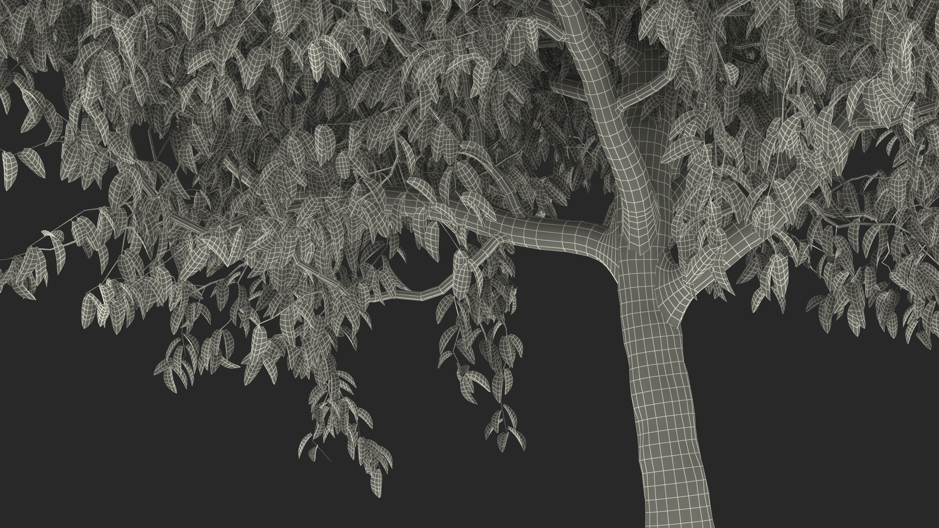 3D Autumn Cherry Tree model