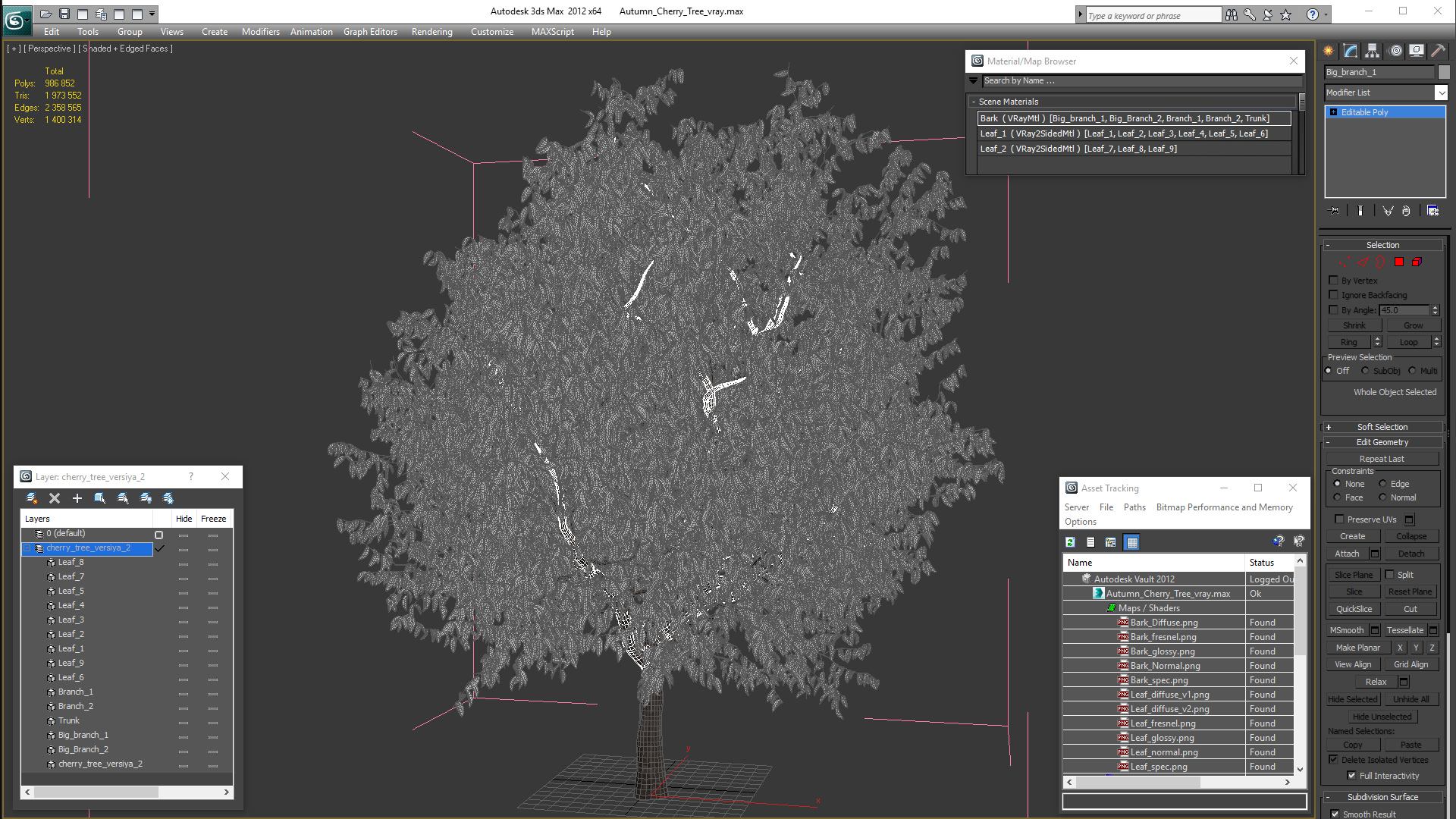 3D Autumn Cherry Tree model