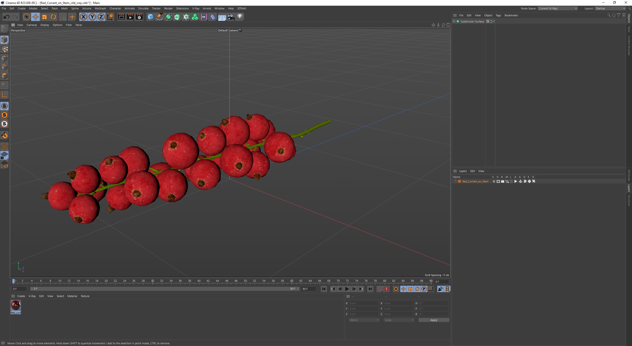 Red Currant on Stem 3D model