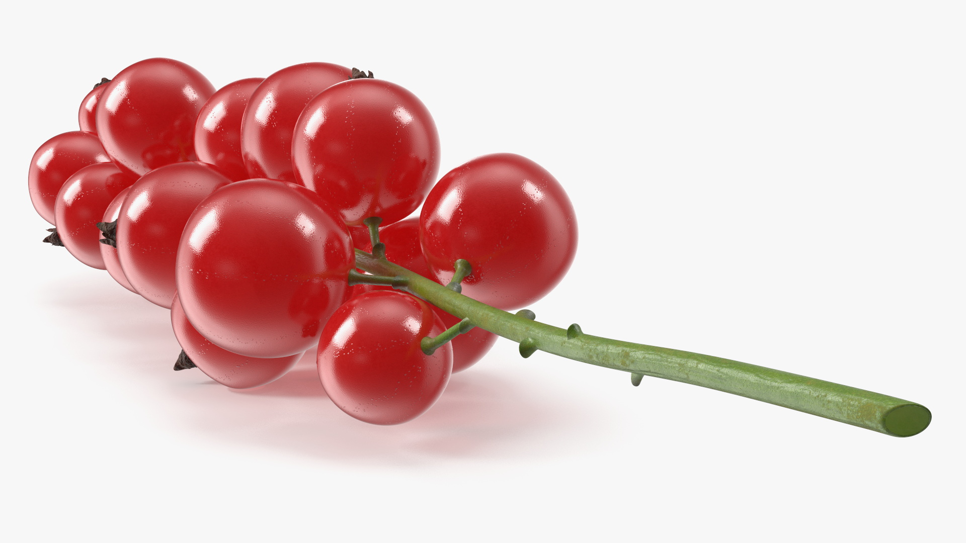 Red Currant on Stem 3D model