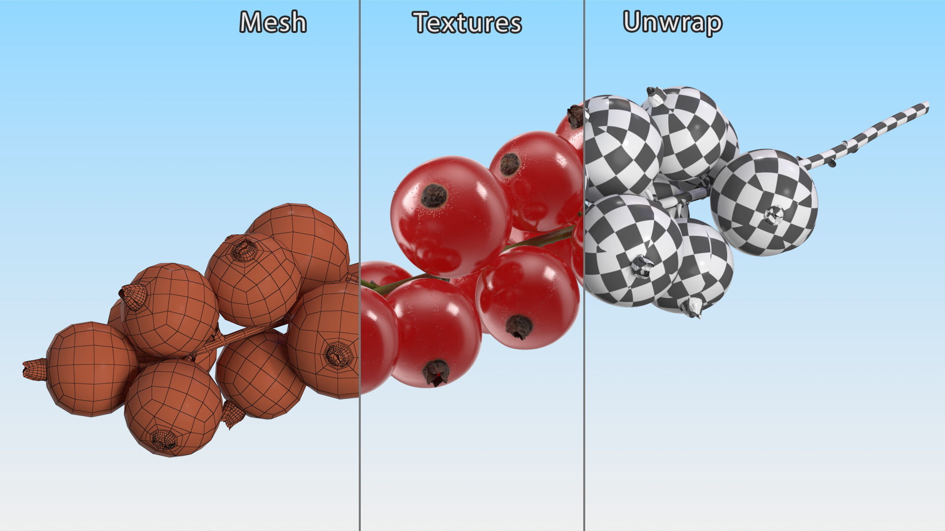 Red Currant on Stem 3D model