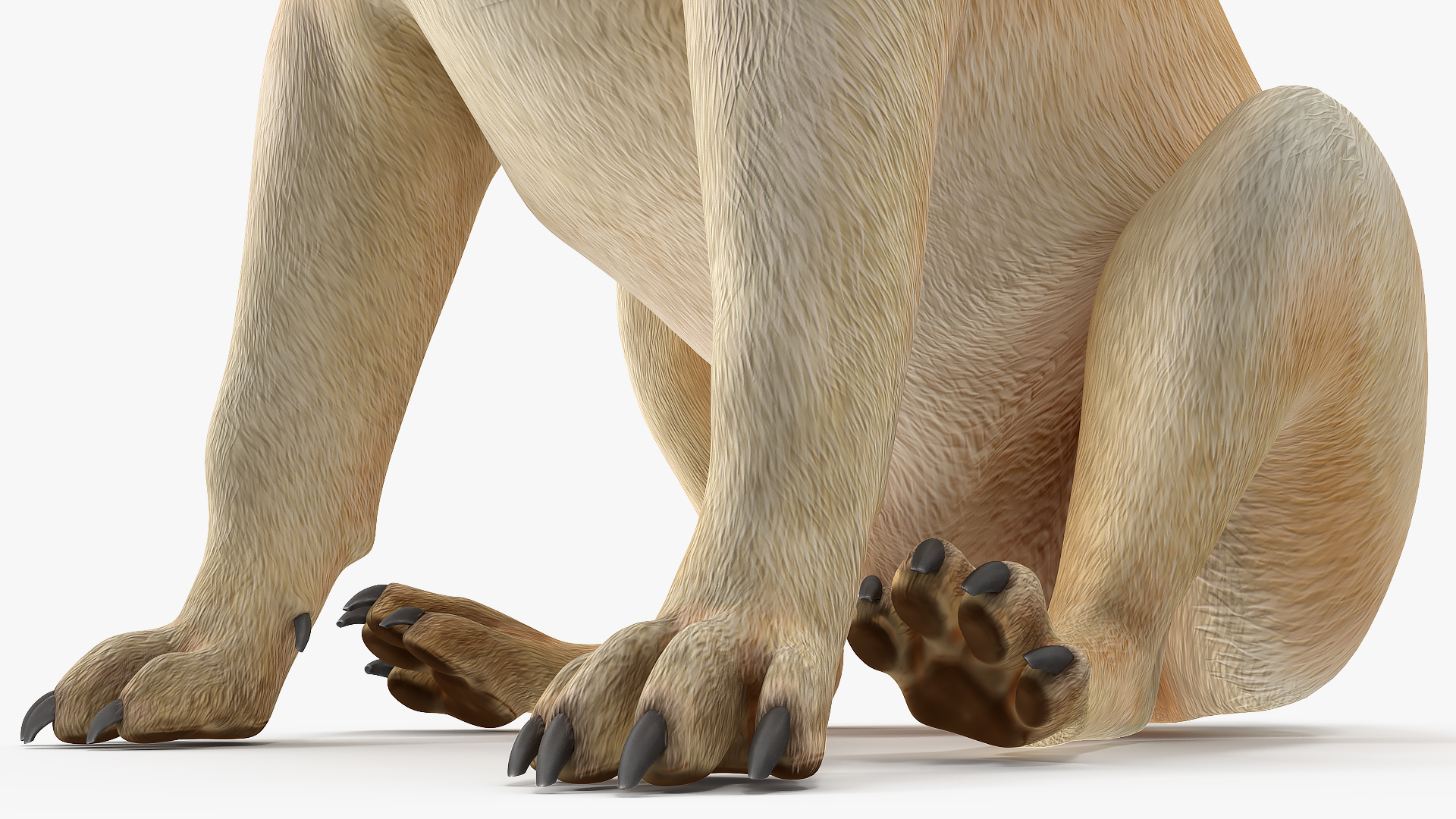 3D model Pug Dog Sitting Pose