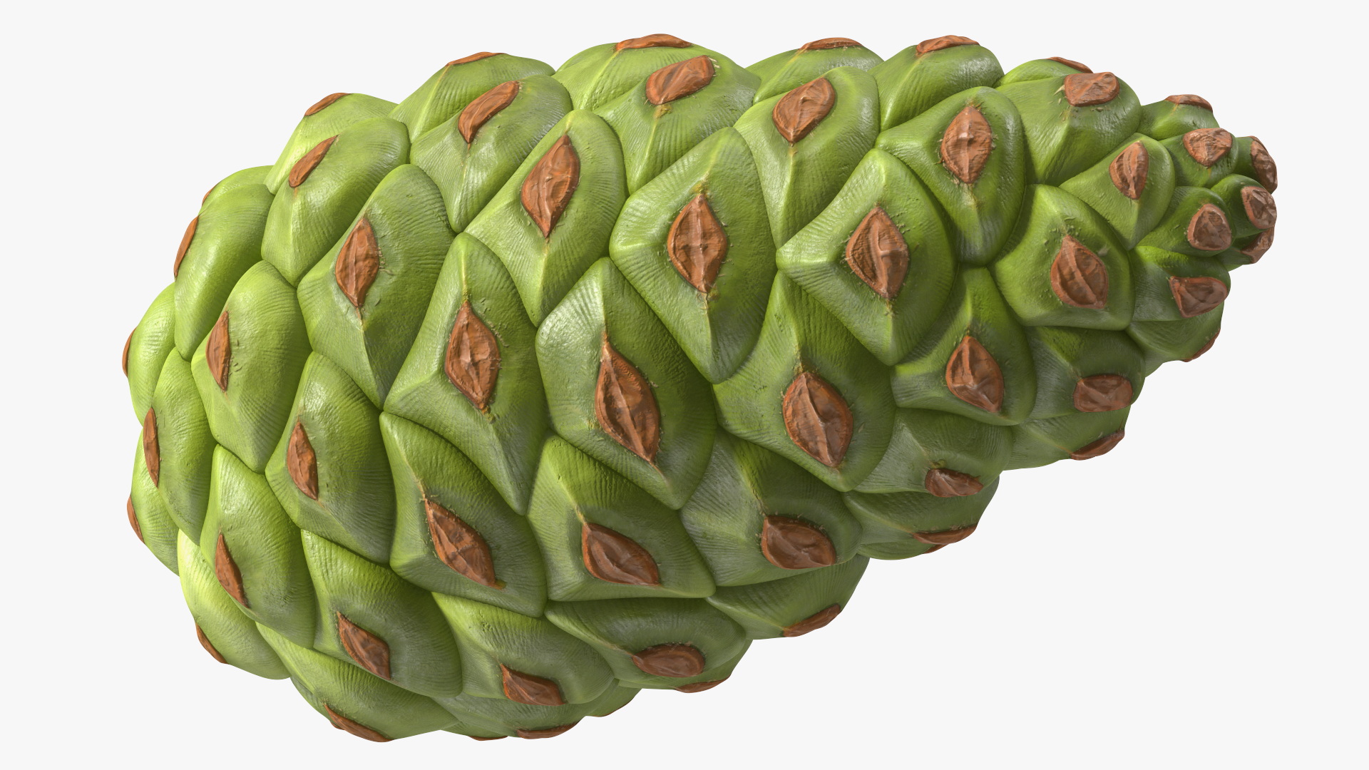 3D model Green Pine Cone