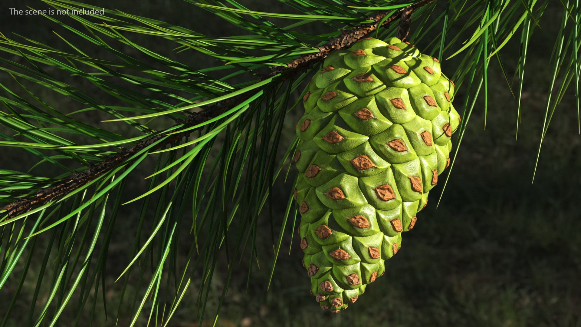 3D model Green Pine Cone