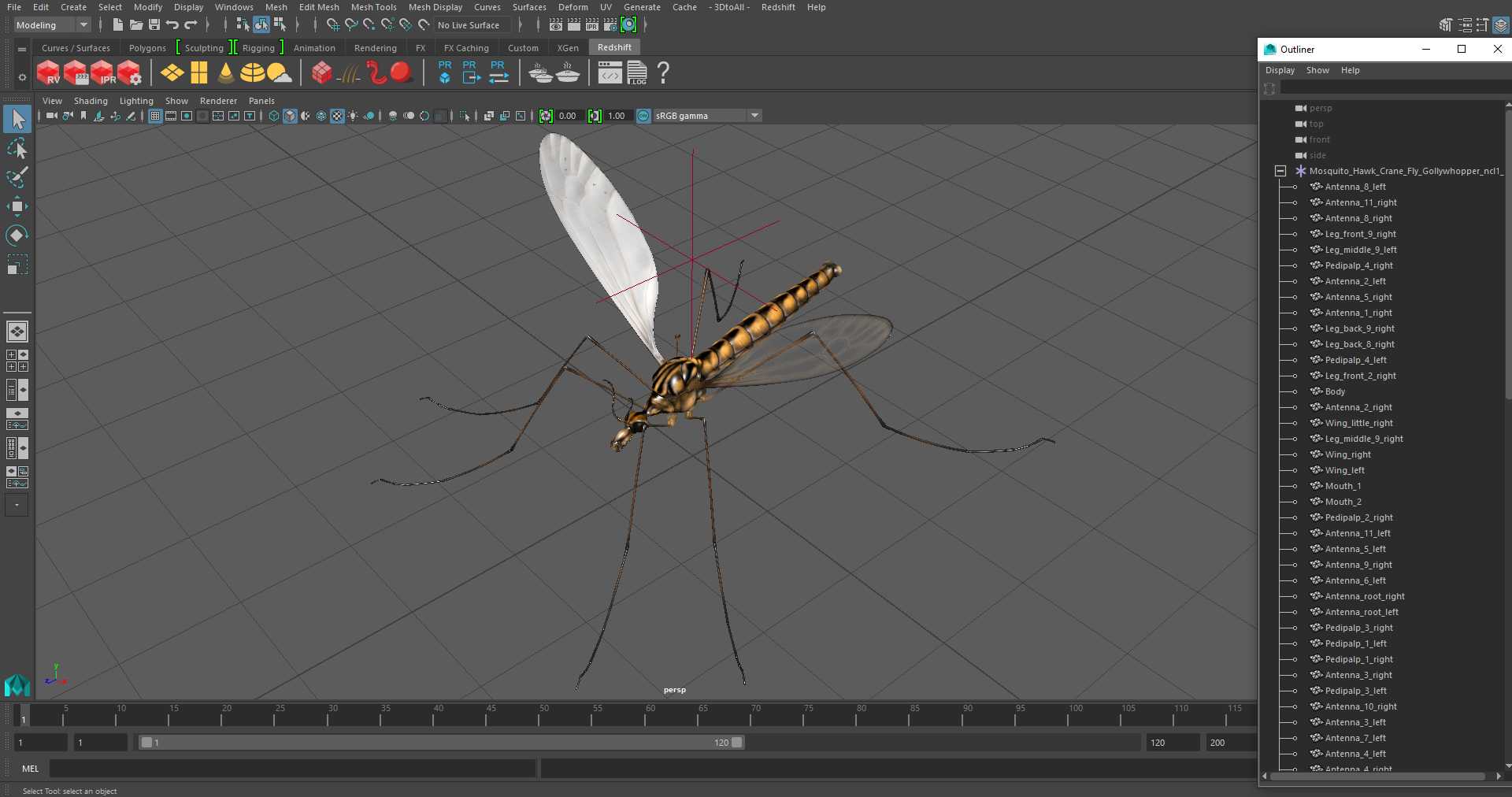 3D Mosquito Hawk Crane Fly Gollywhopper