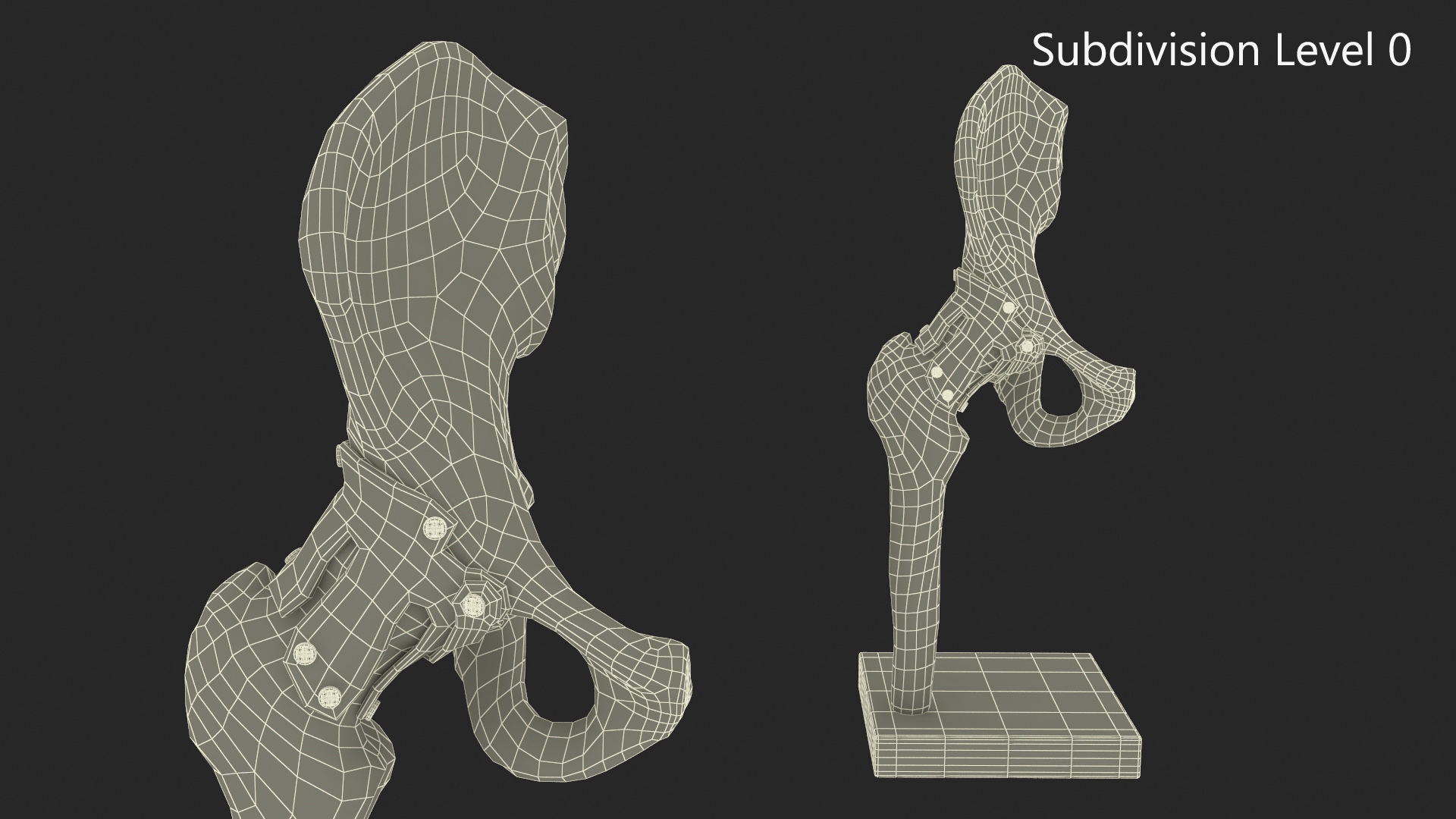 Hip Joint 3D model