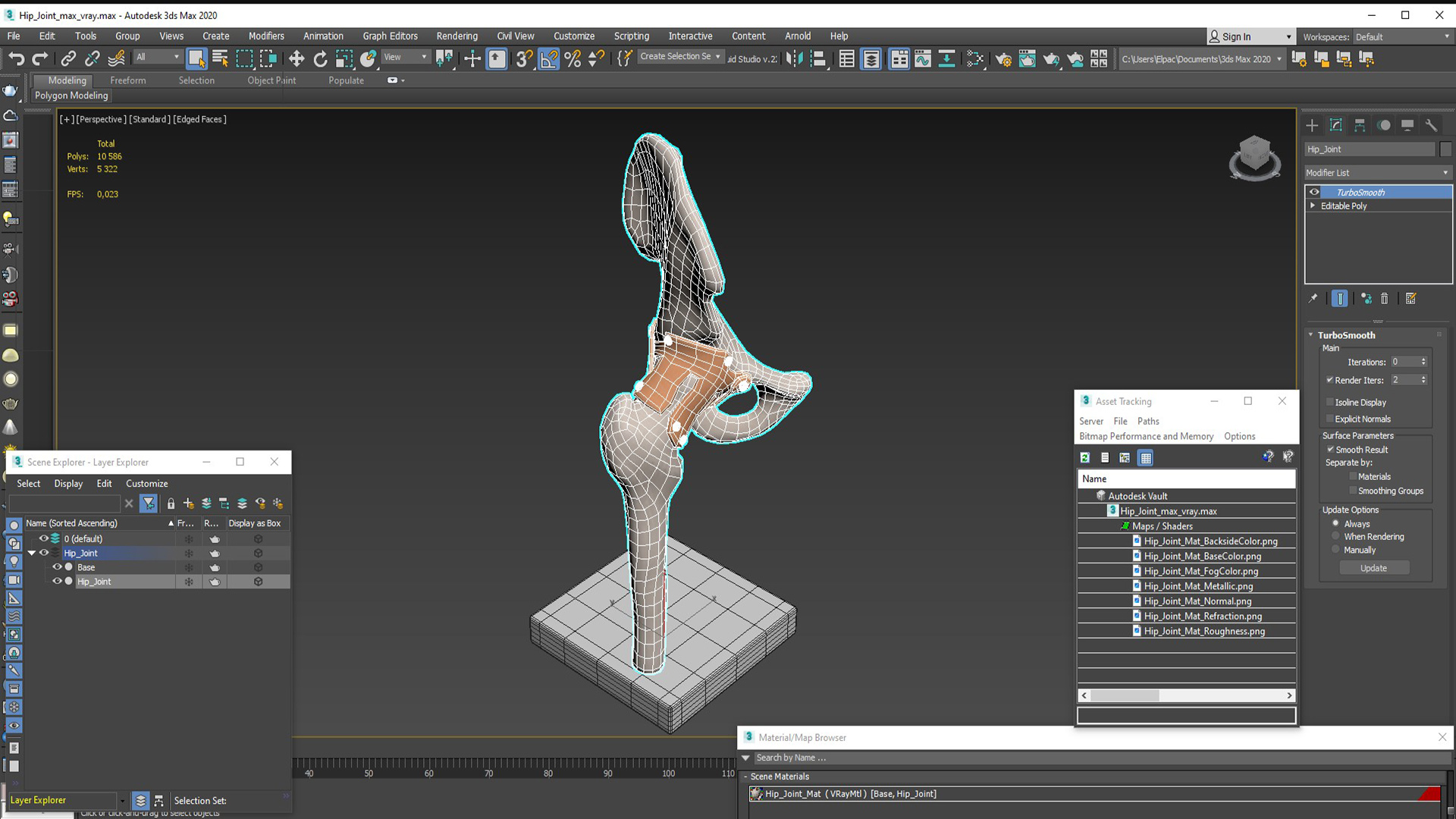 Hip Joint 3D model