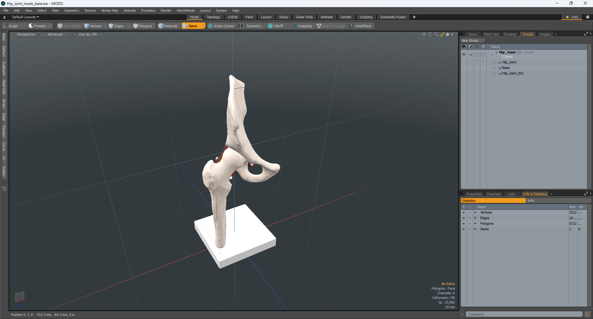 Hip Joint 3D model