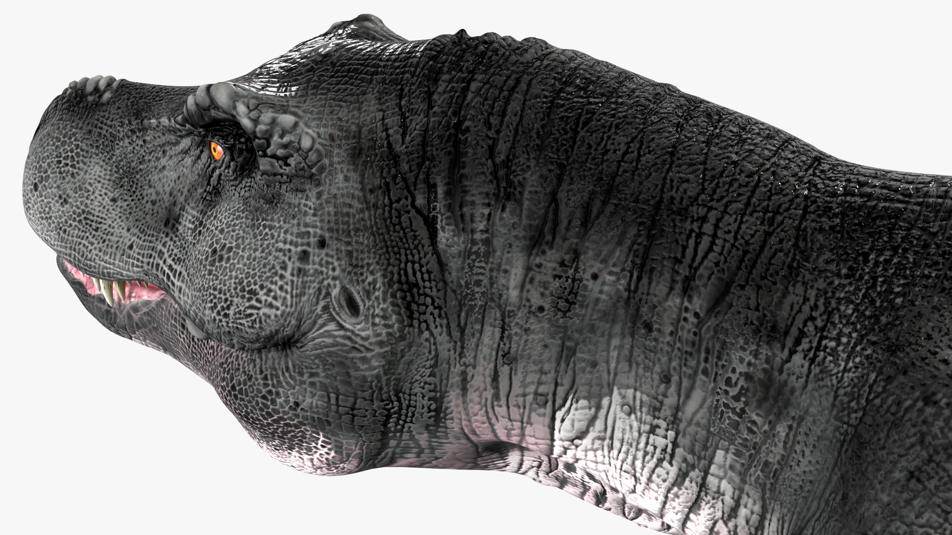 3D T Rex Walking Animated Rigged for Cinema 4D model