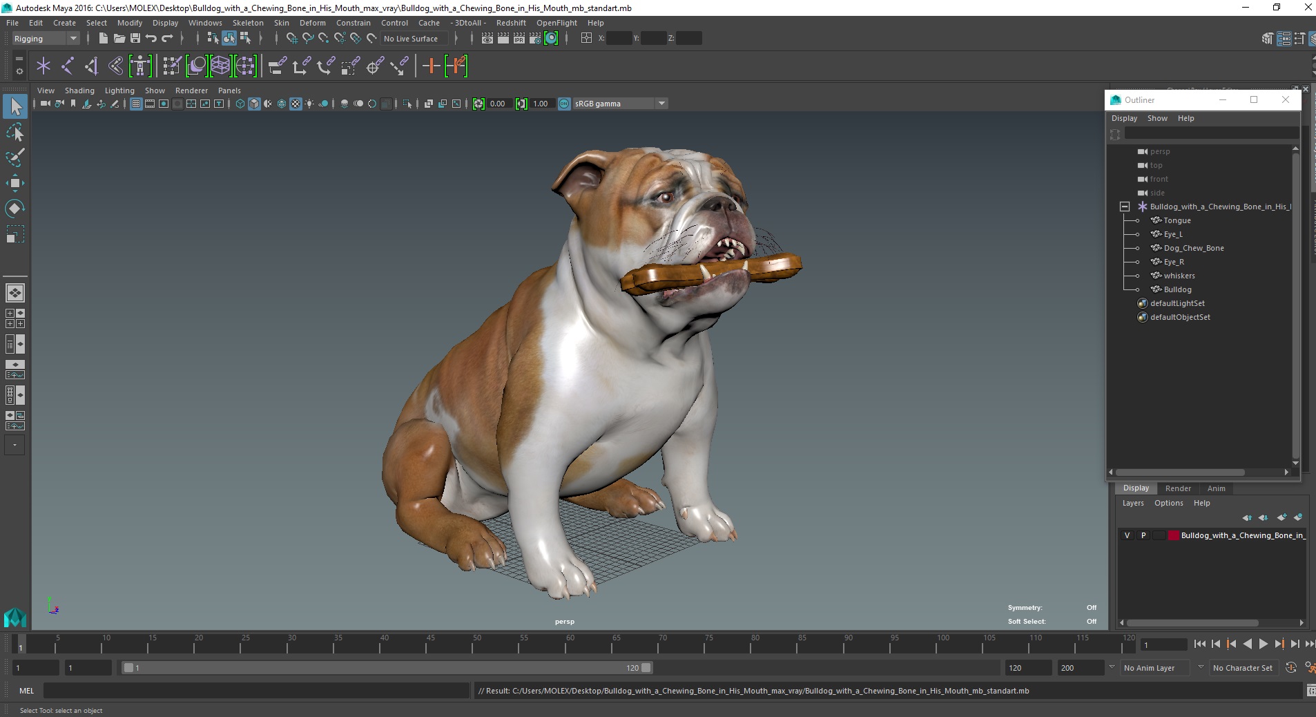 3D model Bulldog with a Chewing Bone in His Mouth