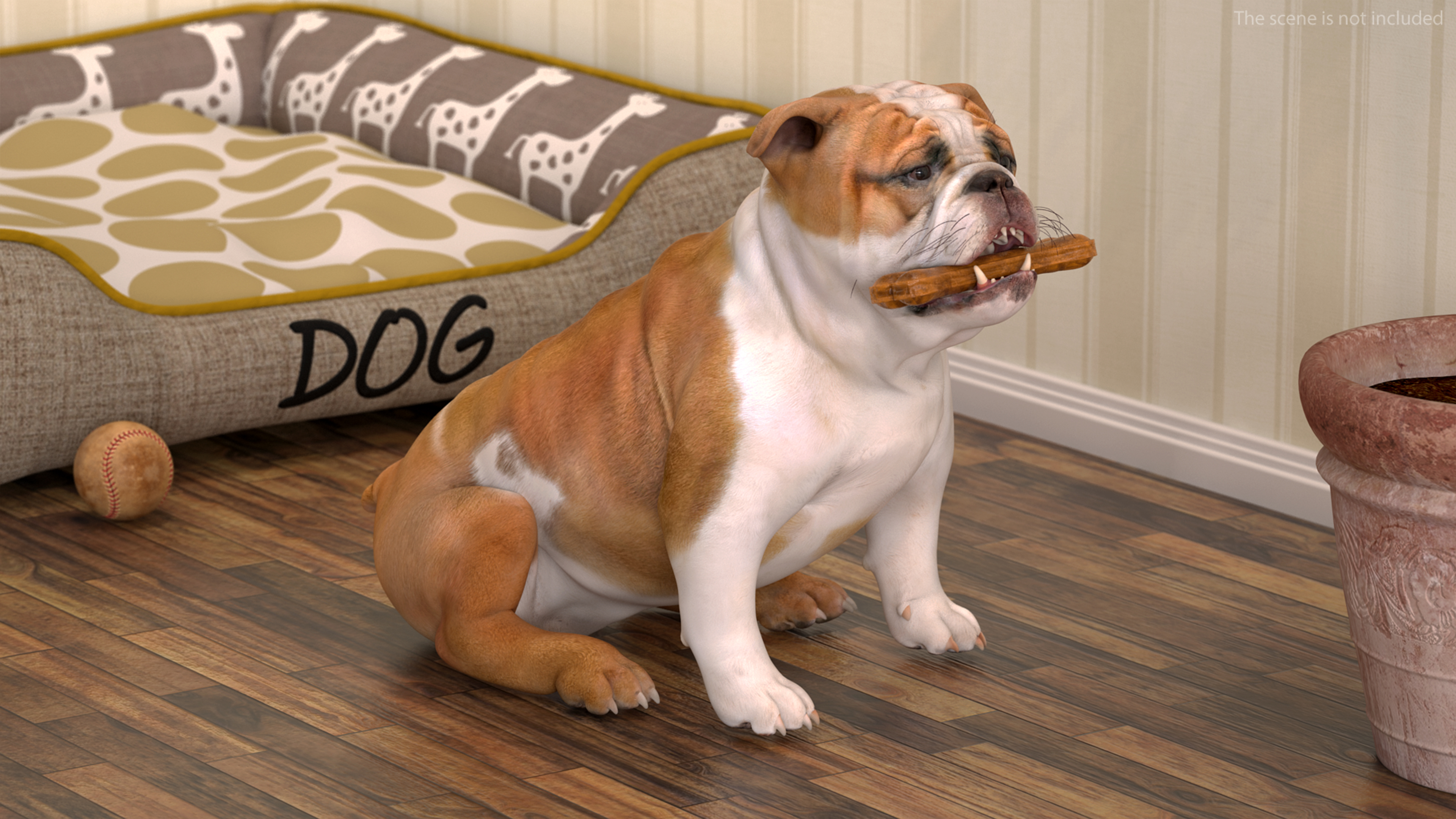 3D model Bulldog with a Chewing Bone in His Mouth