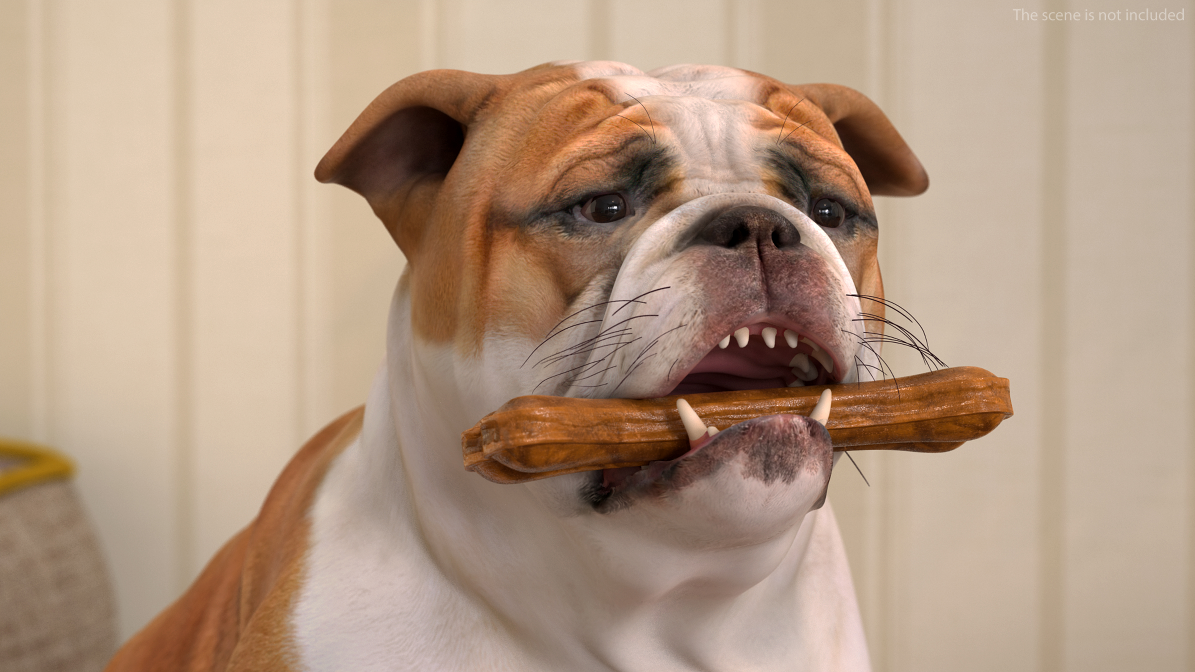 3D model Bulldog with a Chewing Bone in His Mouth