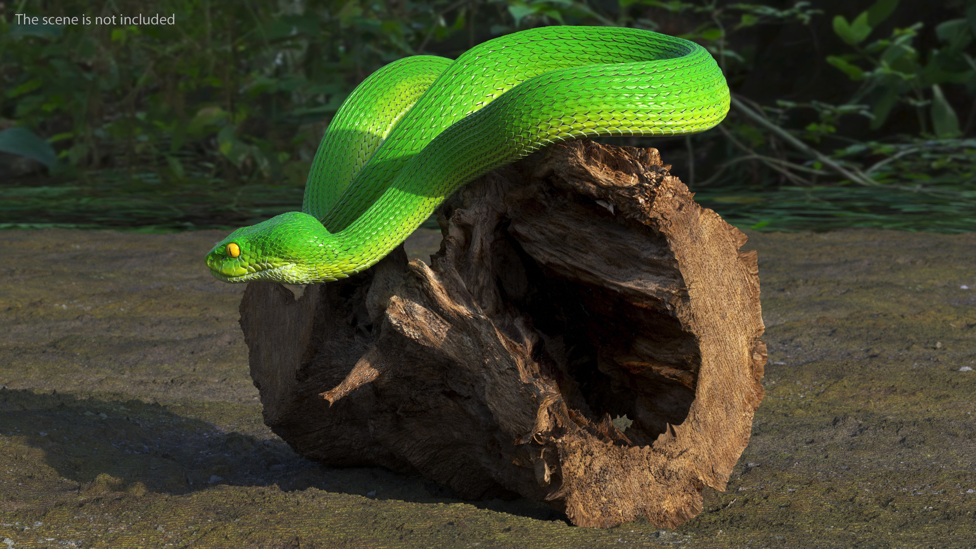 3D Hanging Trunk Green Snake Trimeresurus model