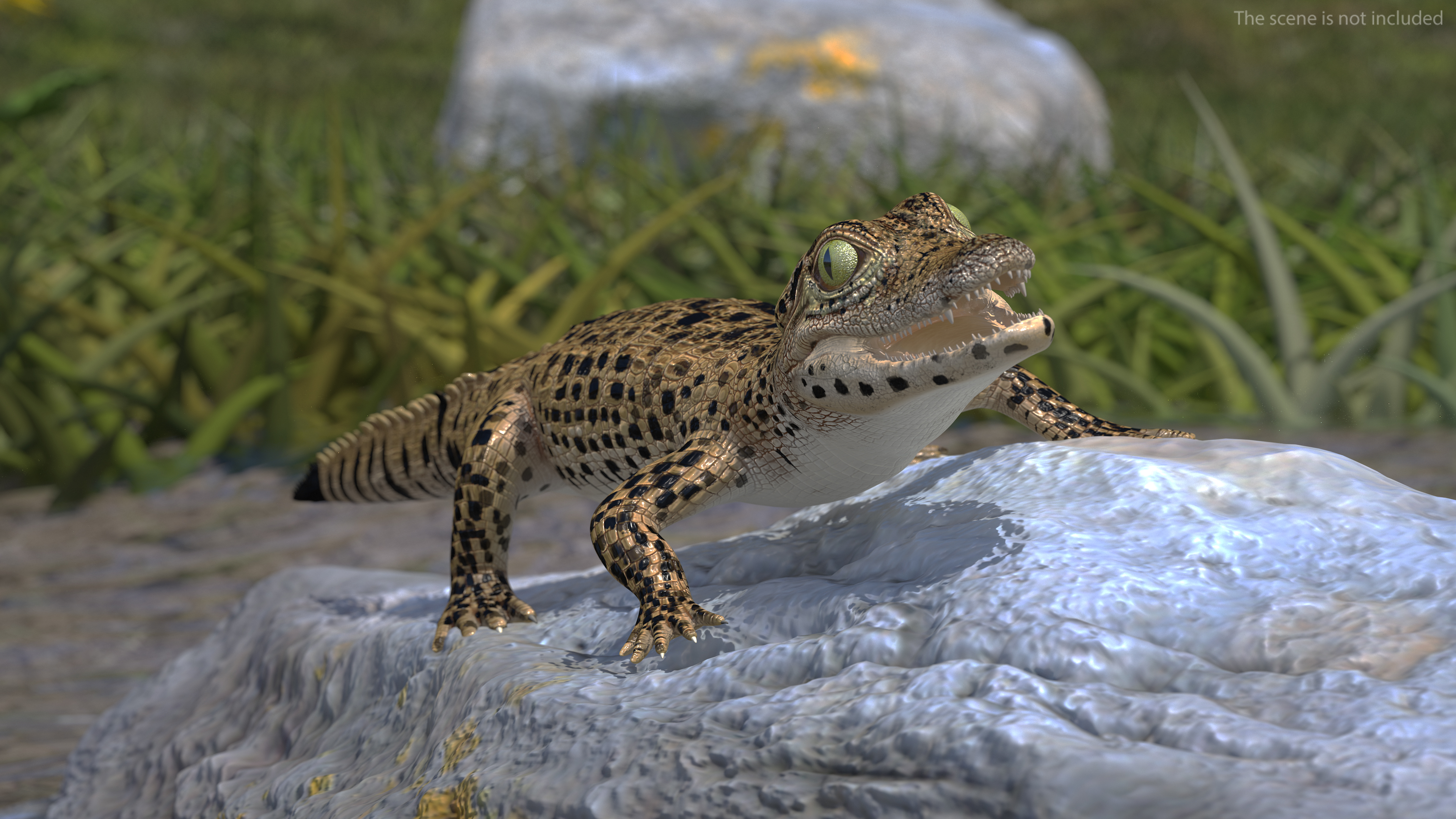 3D model Baby Crocodile Dark Color