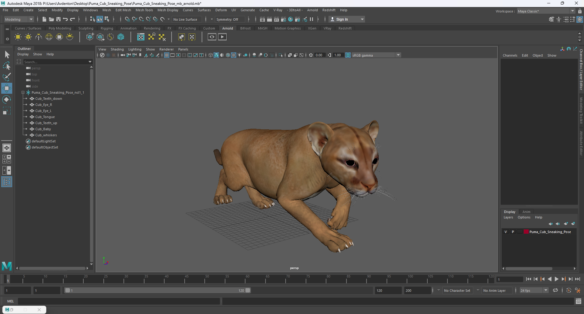 Puma Cub Sneaking Pose 3D