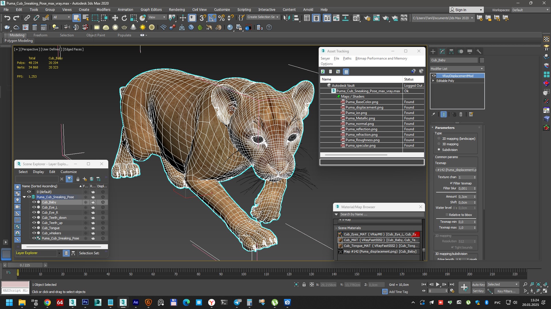 Puma Cub Sneaking Pose 3D