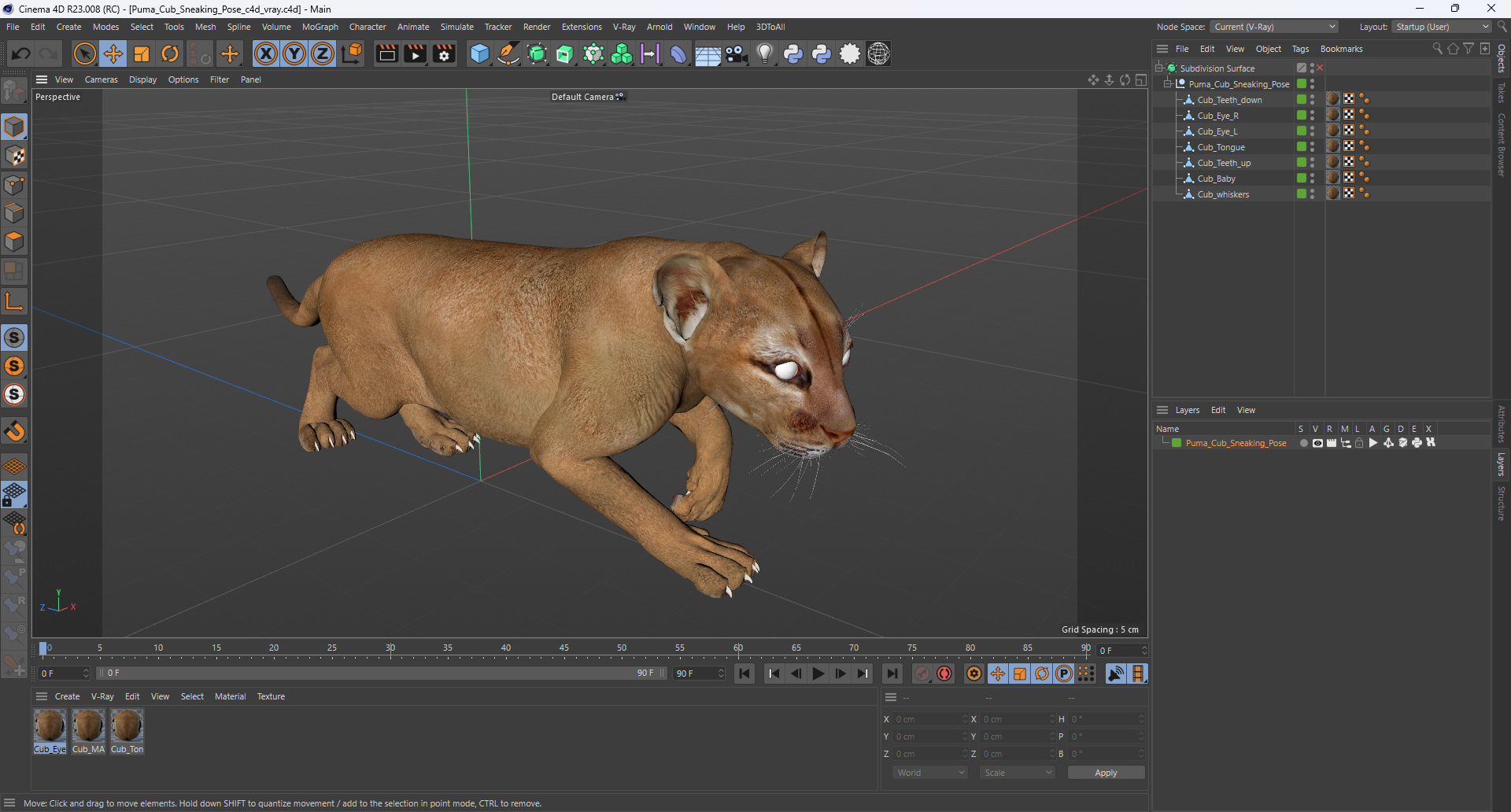 Puma Cub Sneaking Pose 3D