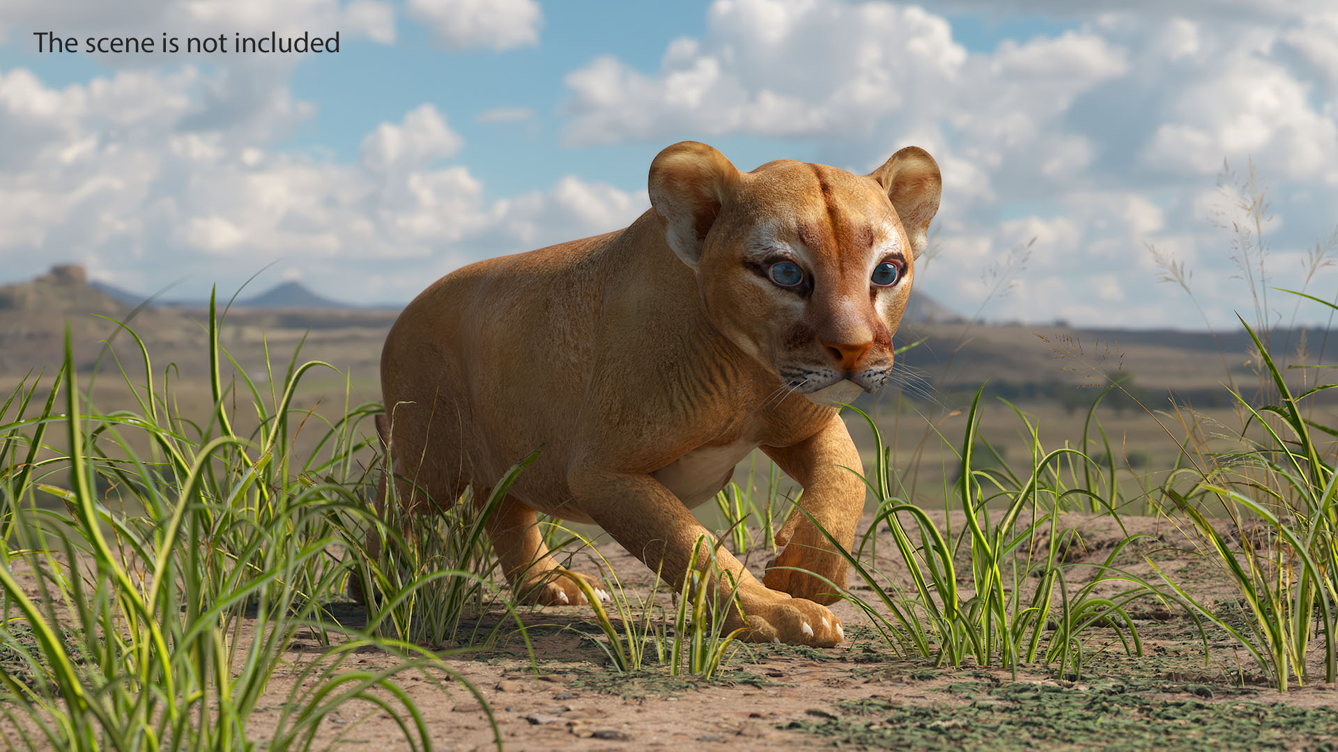 Puma Cub Sneaking Pose 3D