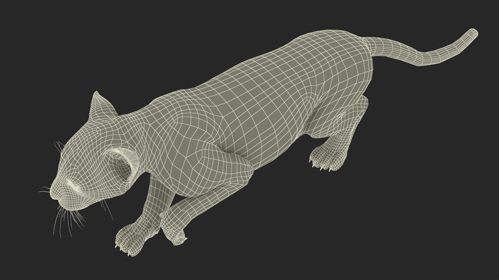 Puma Cub Sneaking Pose 3D