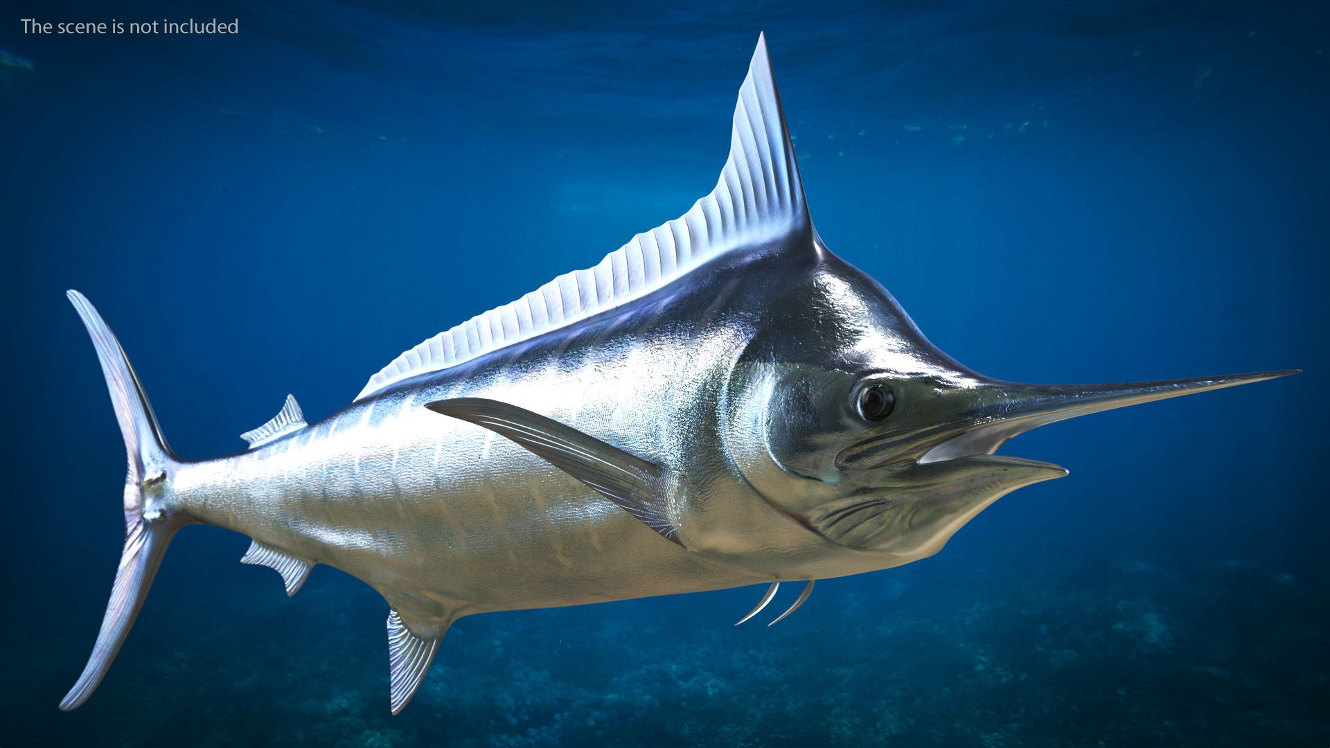 Striped Marlin Fish 3D model