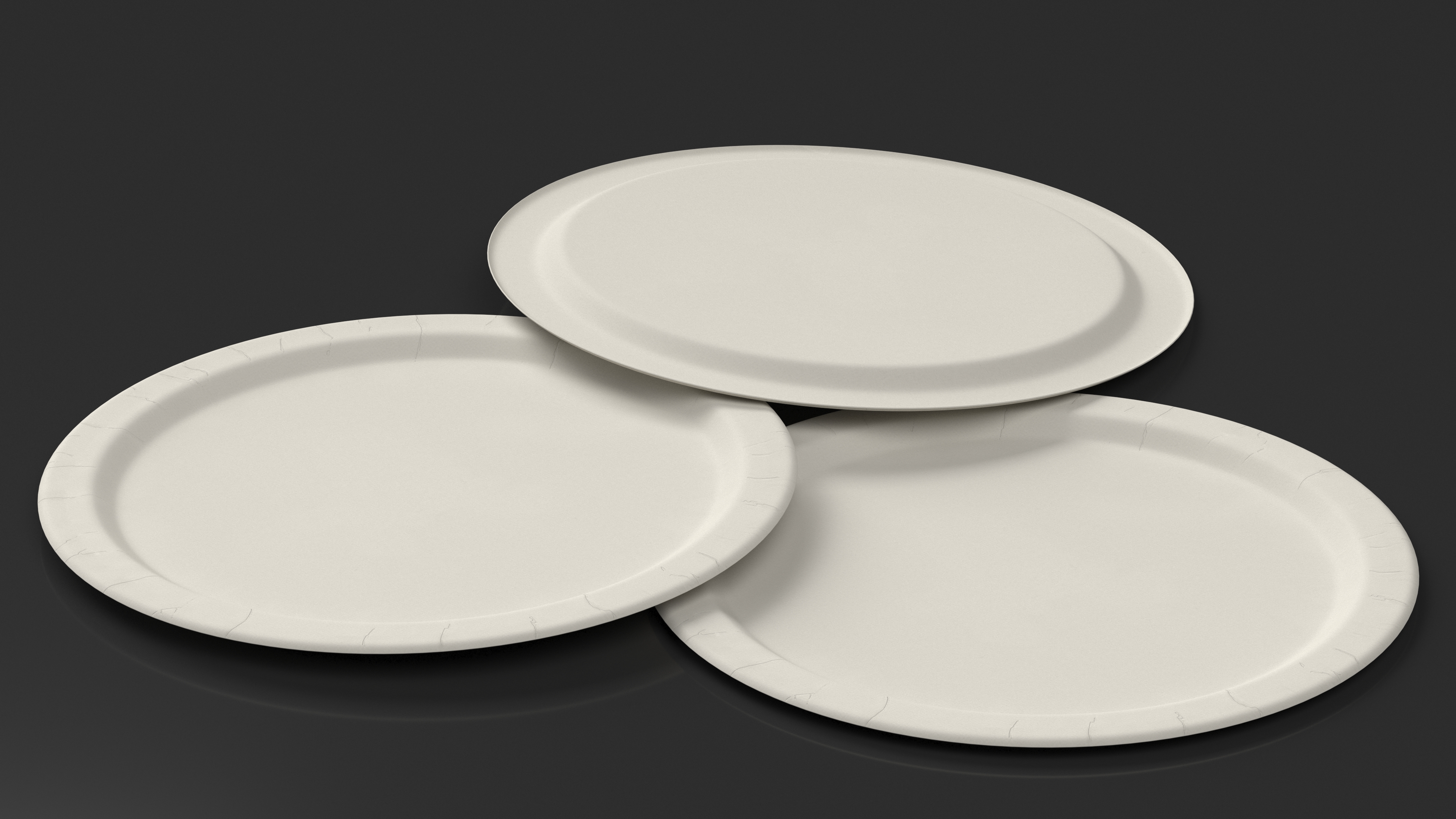 Disposable Paper Plate 3D