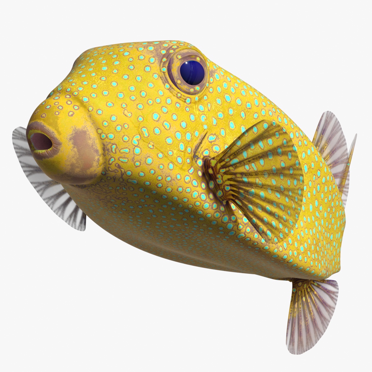 3D Yellow Spotted Boxfish Rigged for Maya model