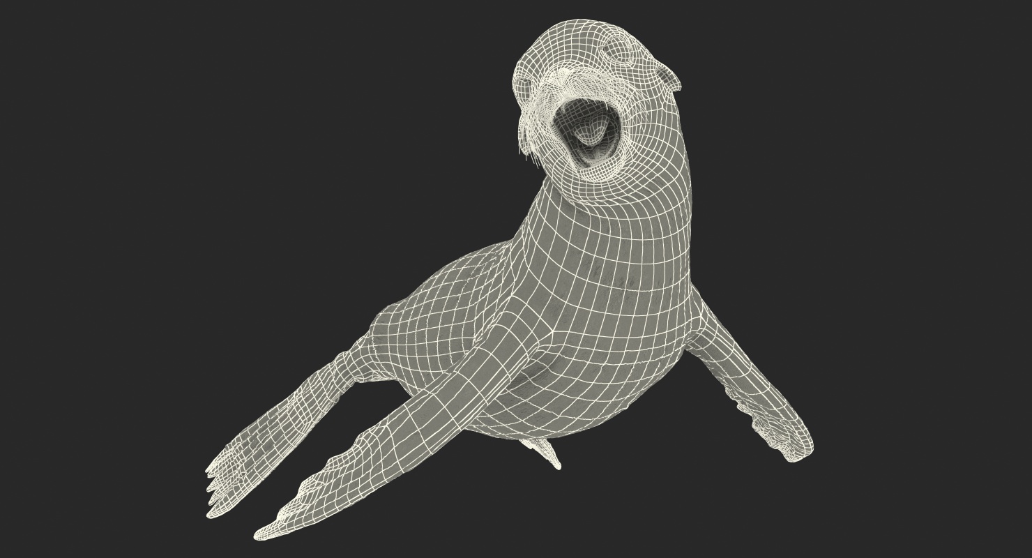 Sea Lion Wet Rigged 3D model