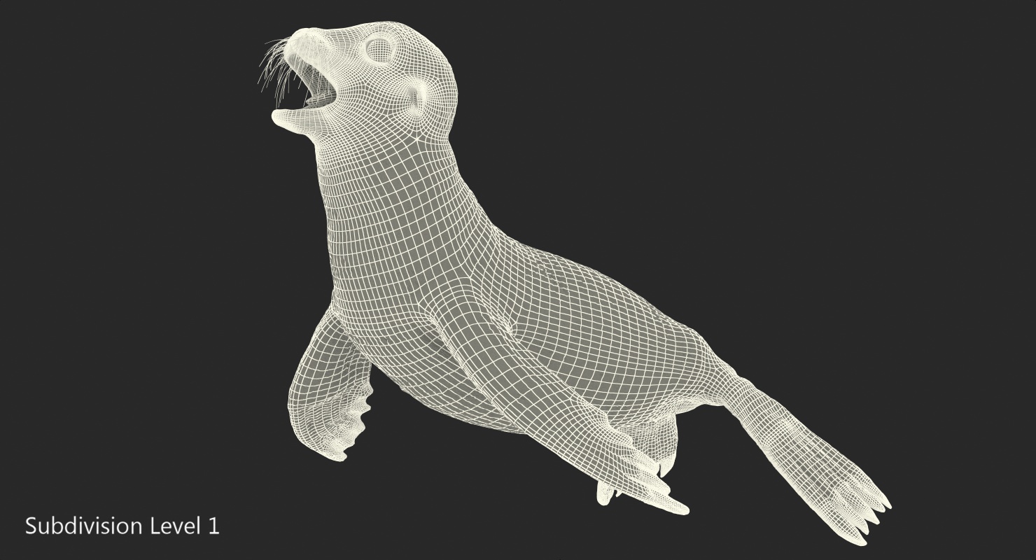 Sea Lion Wet Rigged 3D model