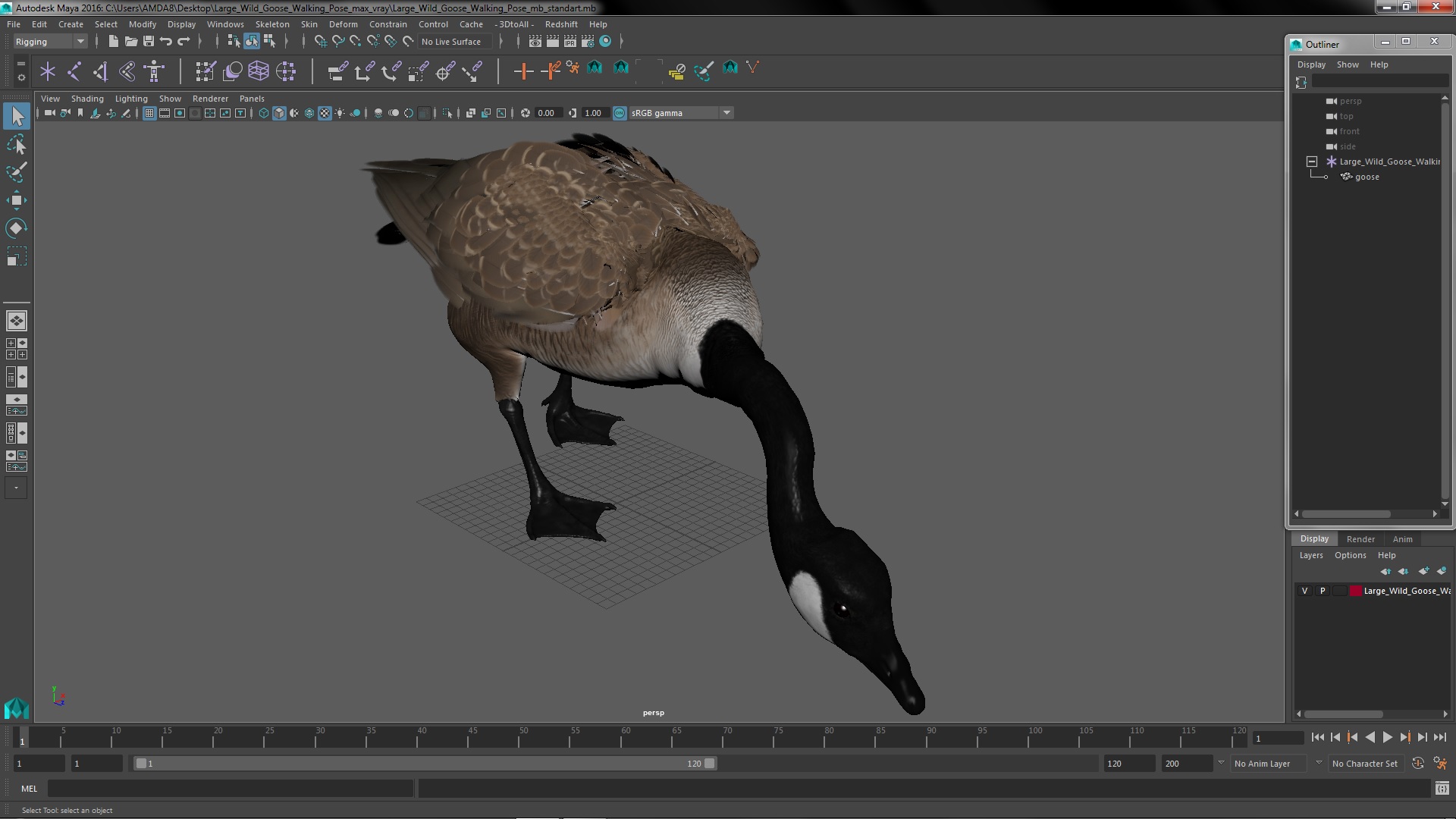 Large Wild Goose Walking Pose 3D model