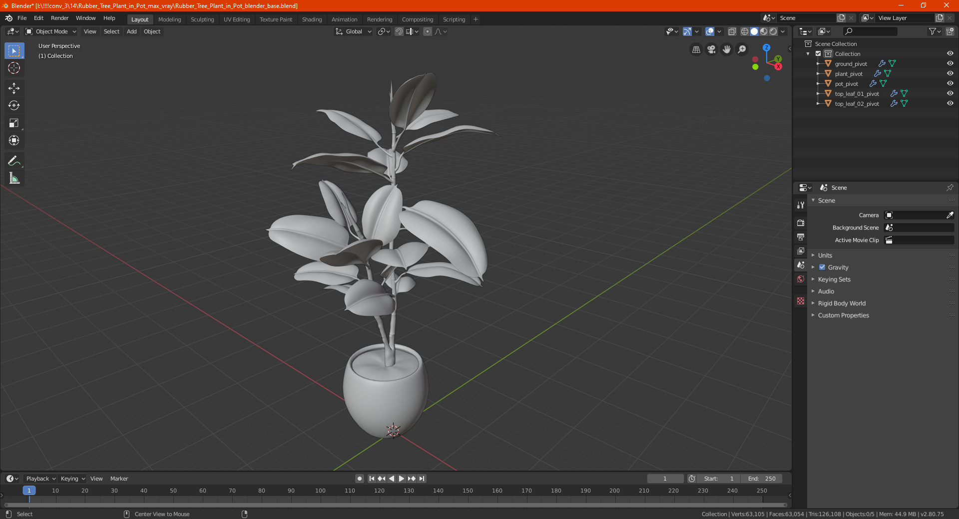 Rubber Tree Plant in Pot 3D model