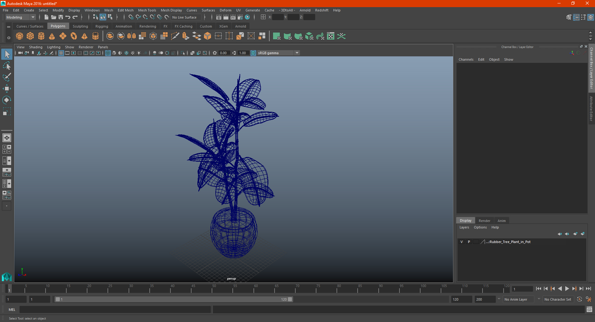 Rubber Tree Plant in Pot 3D model