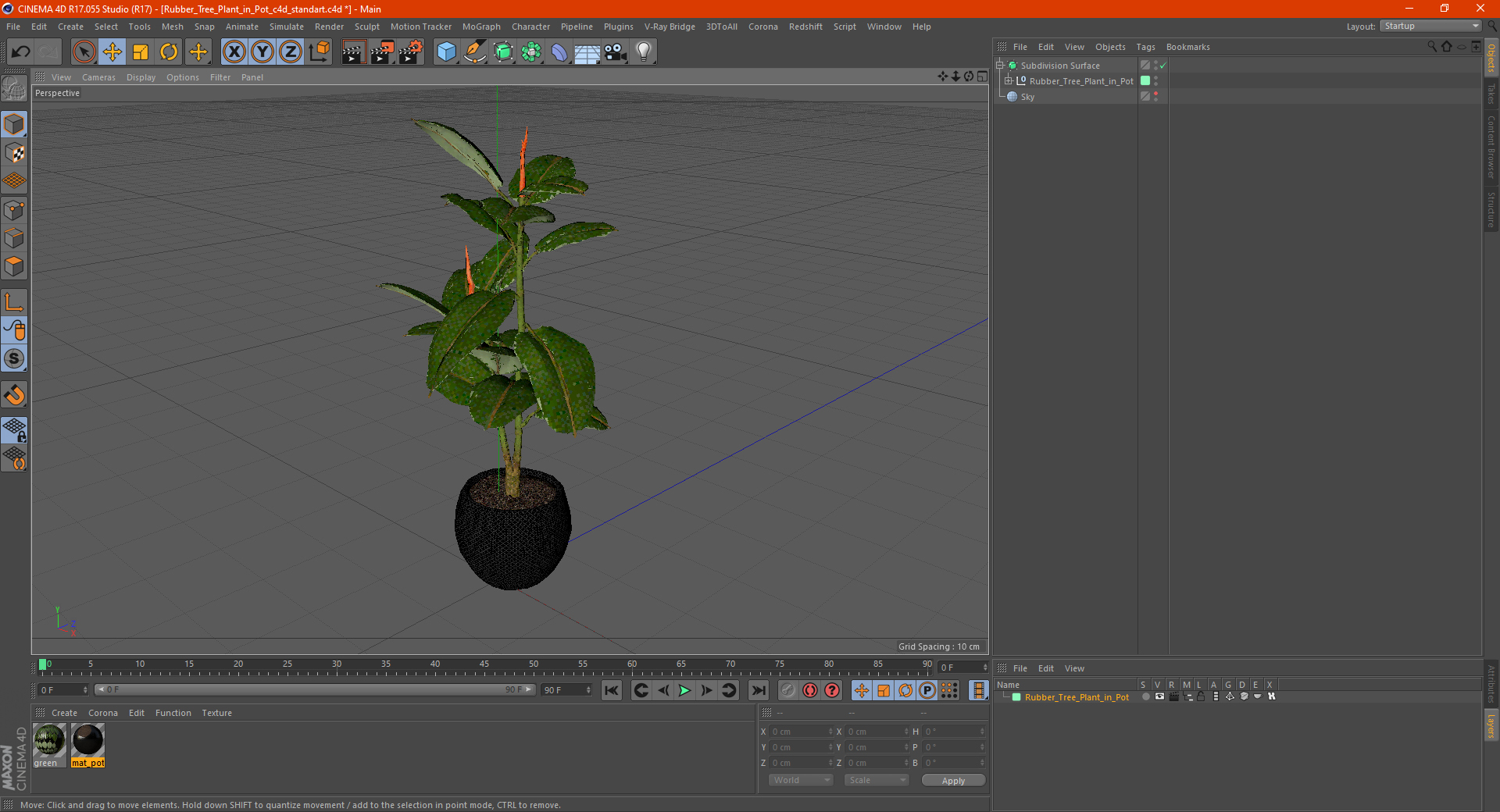 Rubber Tree Plant in Pot 3D model