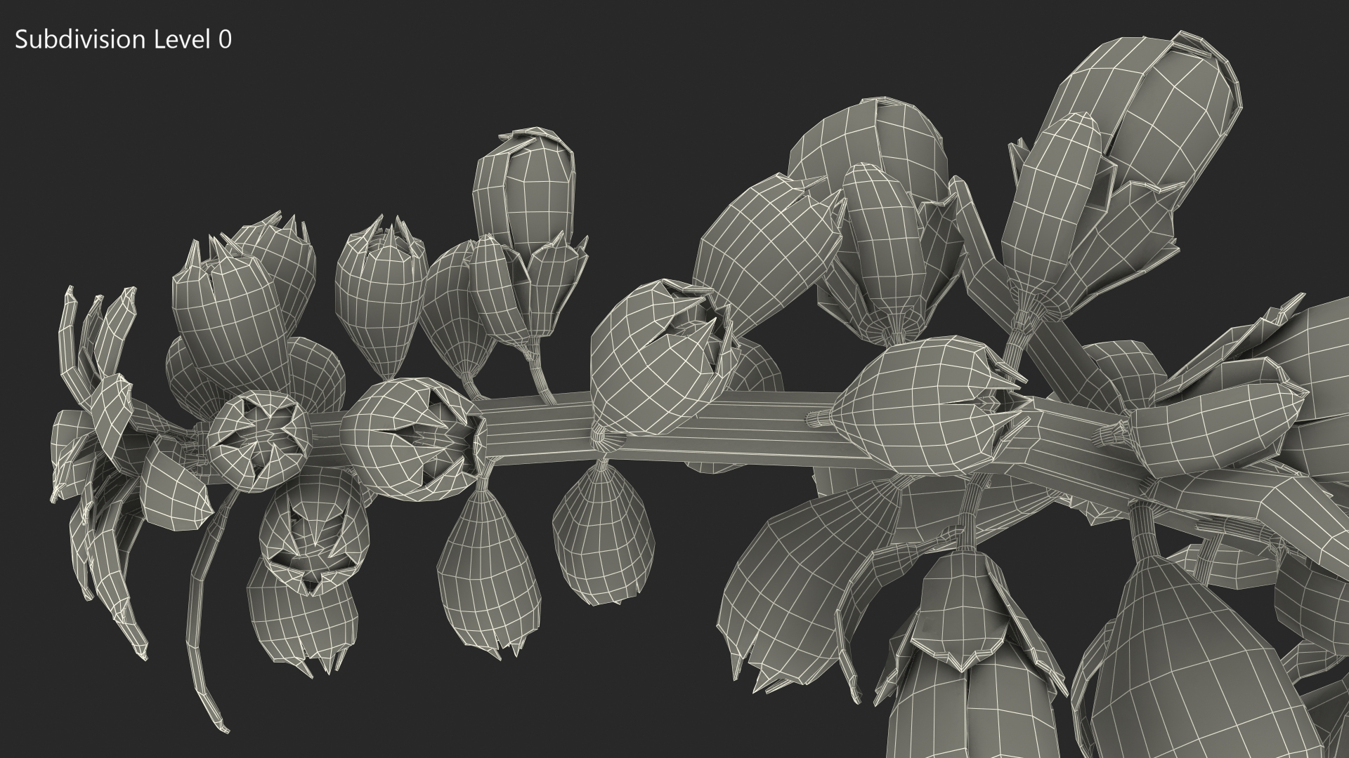 White Foxglove Stem 3D model