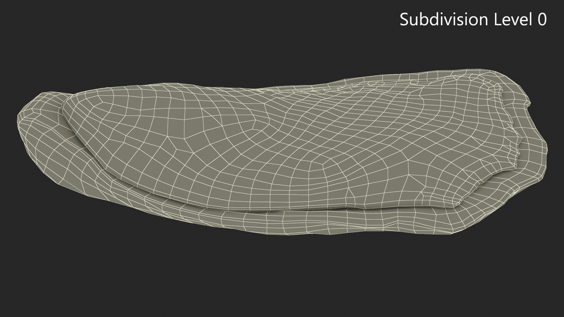 3D Closed Oyster model