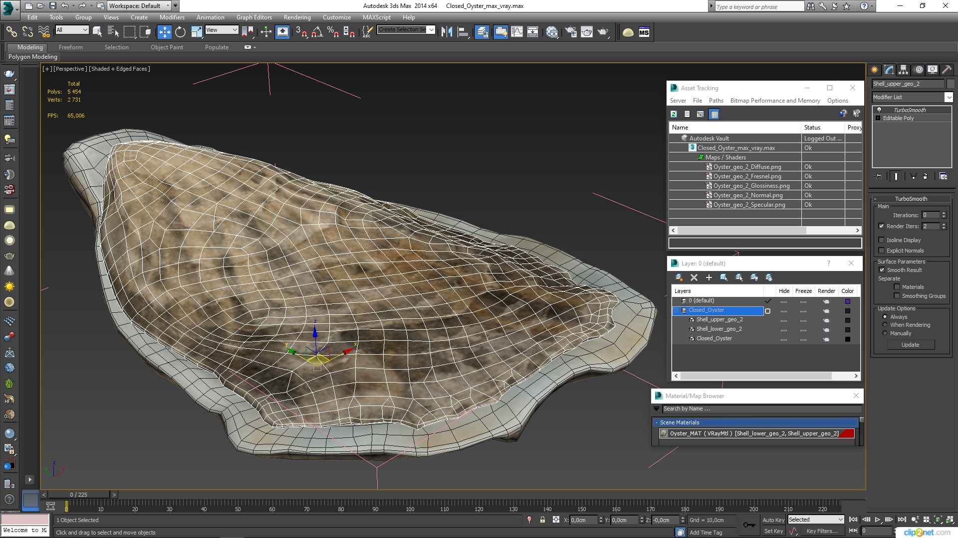 3D Closed Oyster model