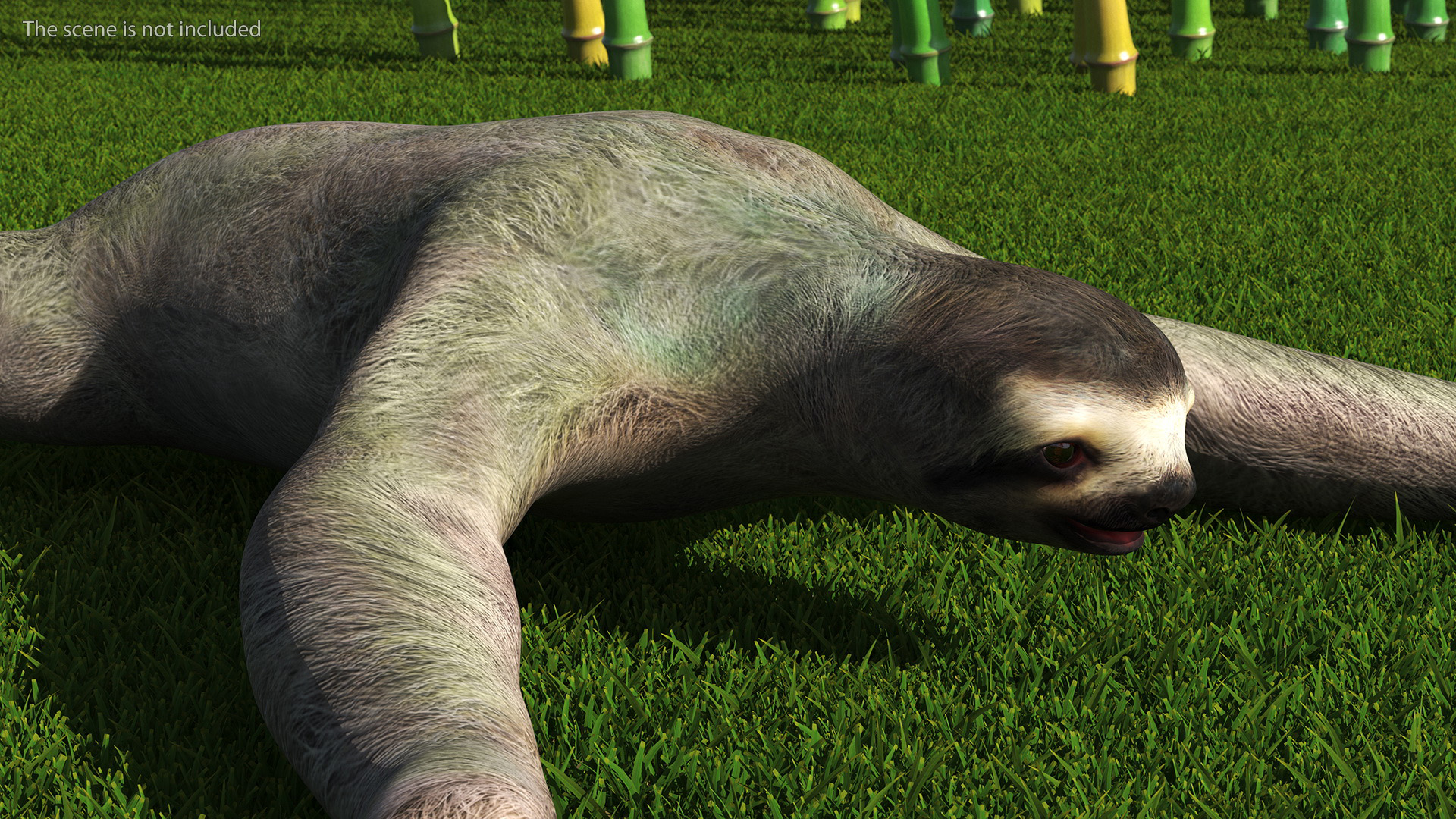 3D Sloth Rigged for Cinema 4D