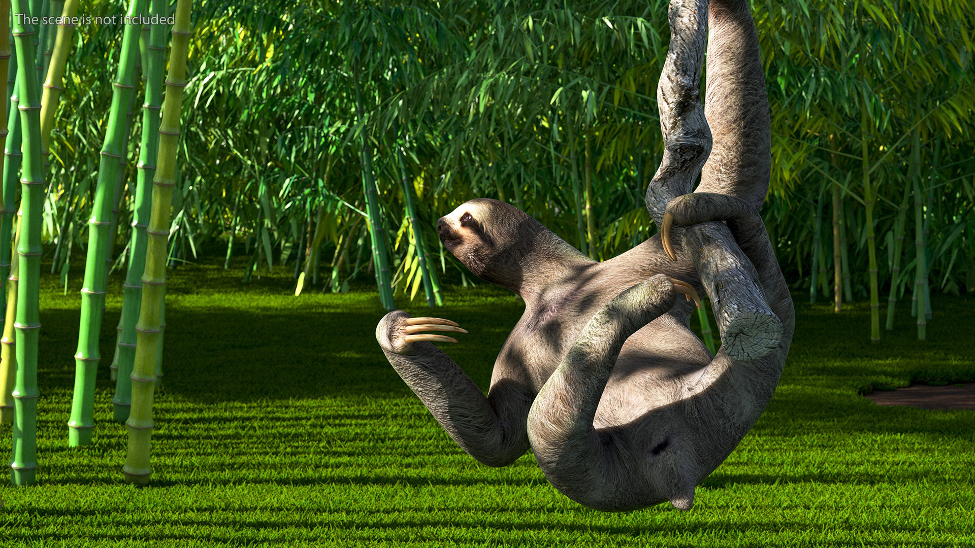 3D Sloth Rigged for Maya