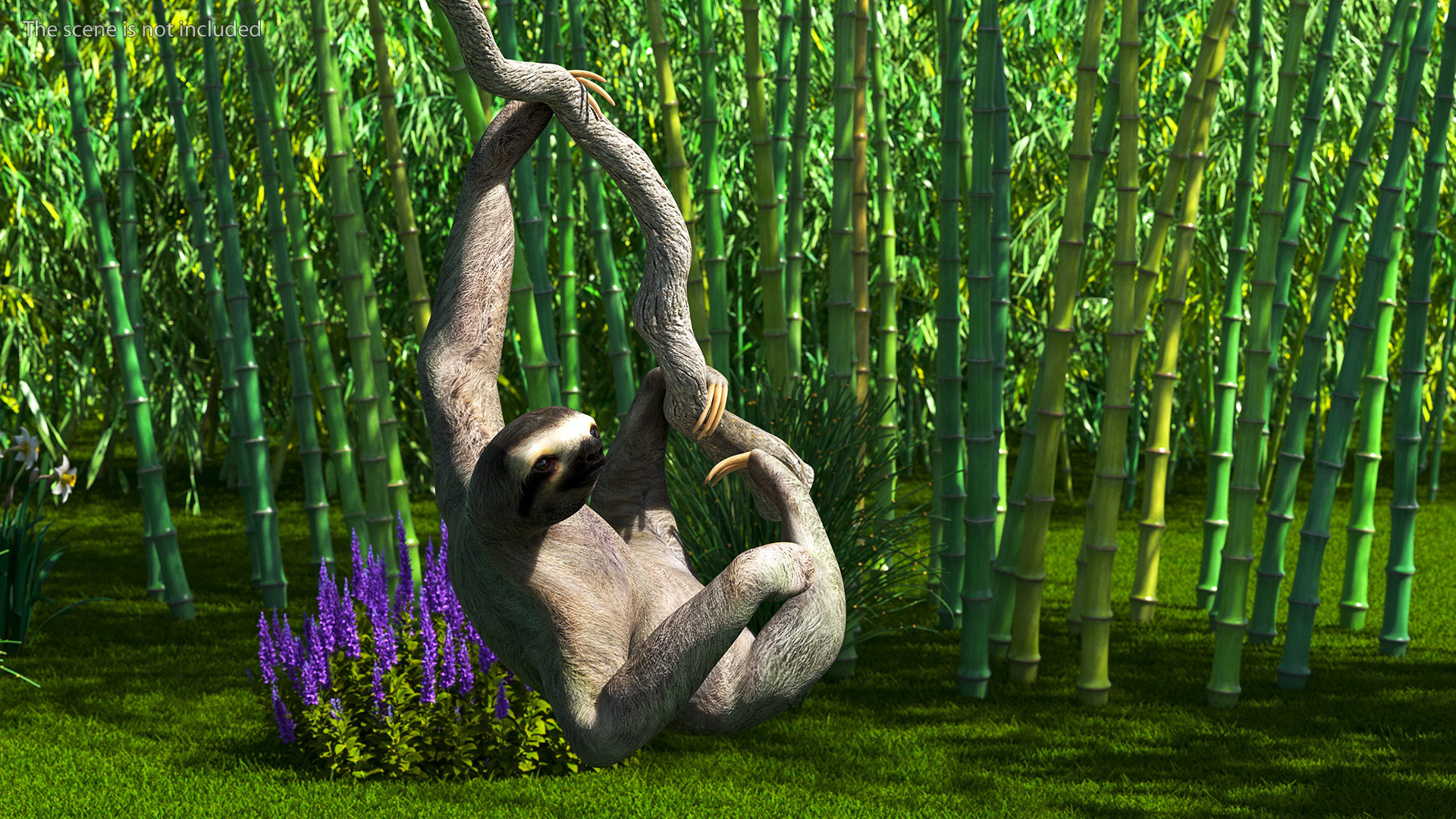 3D Sloth Rigged for Maya