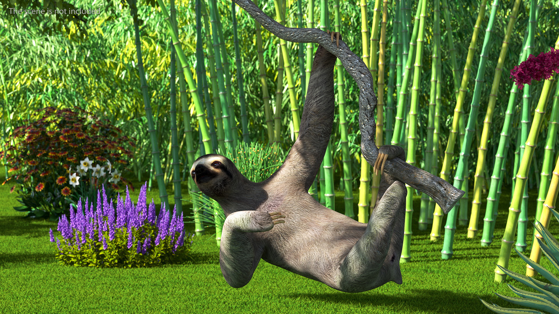 3D Sloth Rigged for Maya