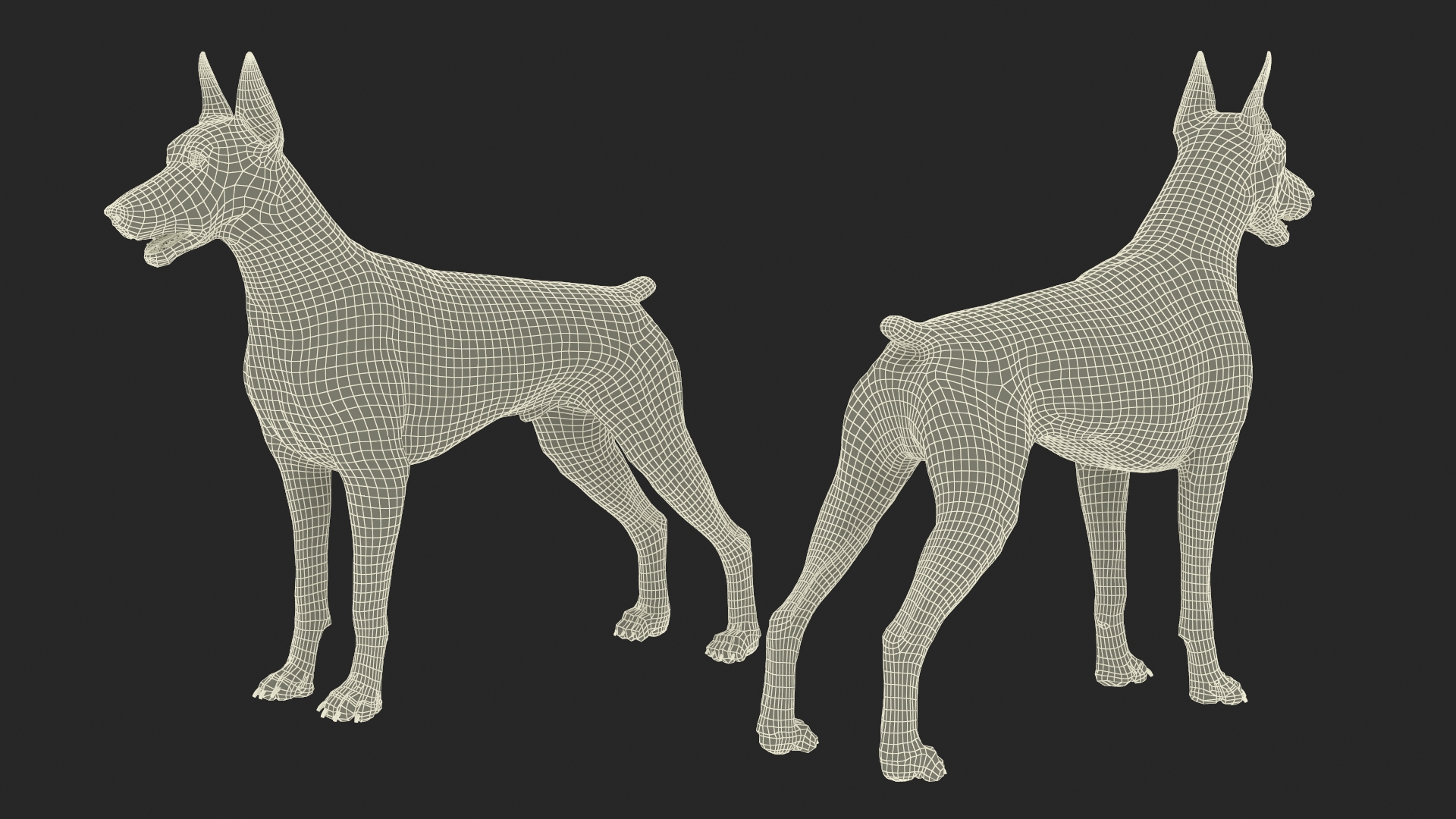 3D Doberman Dog Brown model