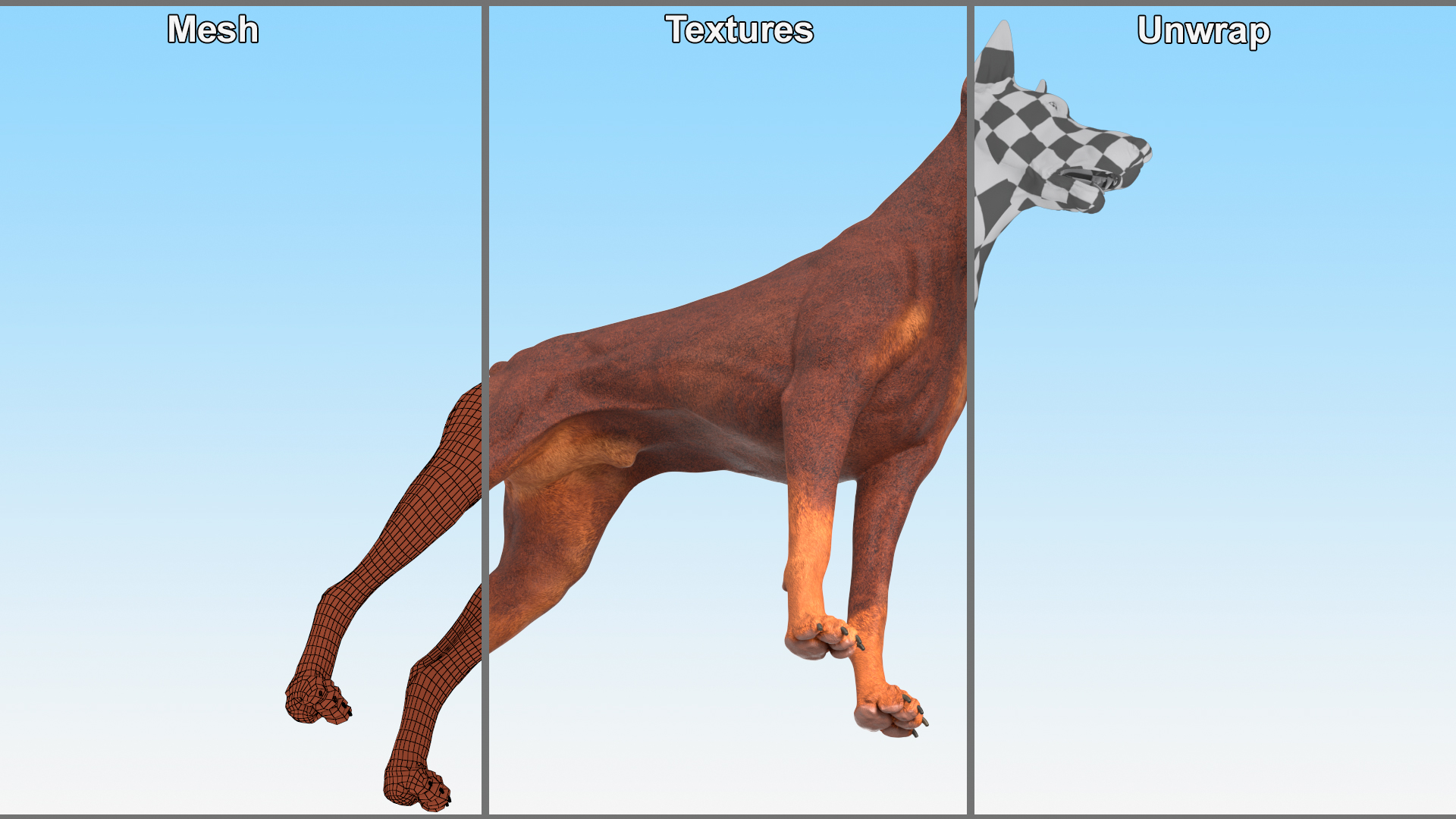 3D Doberman Dog Brown model