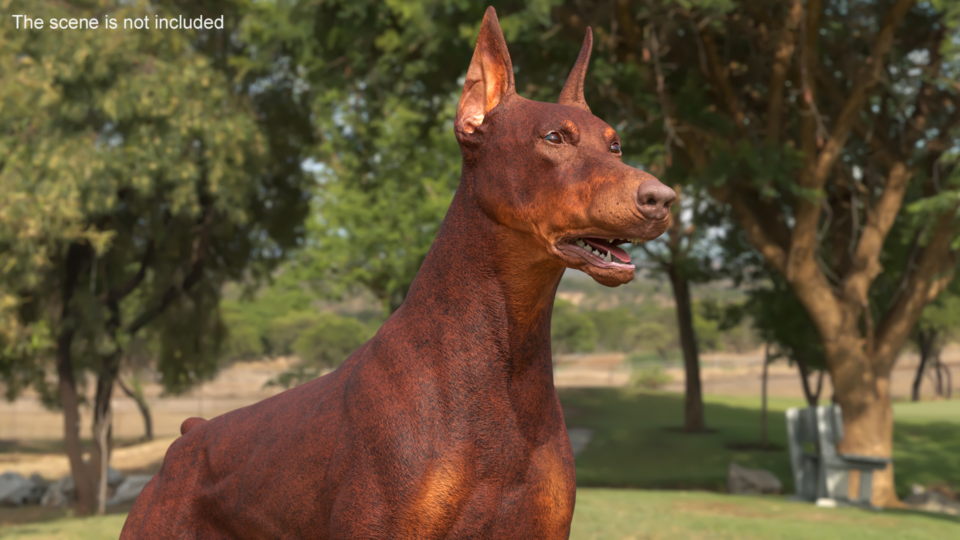 3D Doberman Dog Brown model