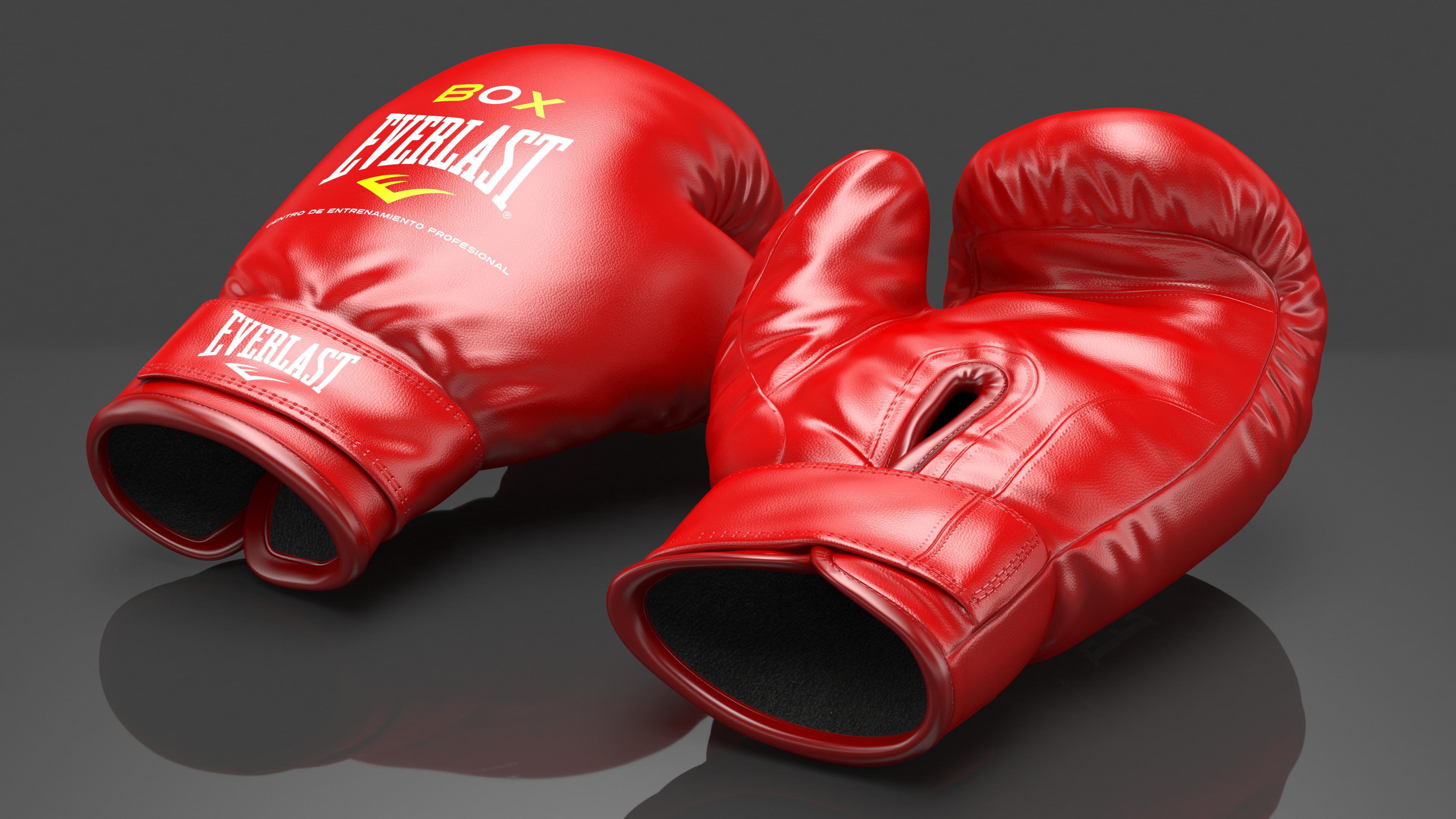 3D Training Boxing Gloves Everlast