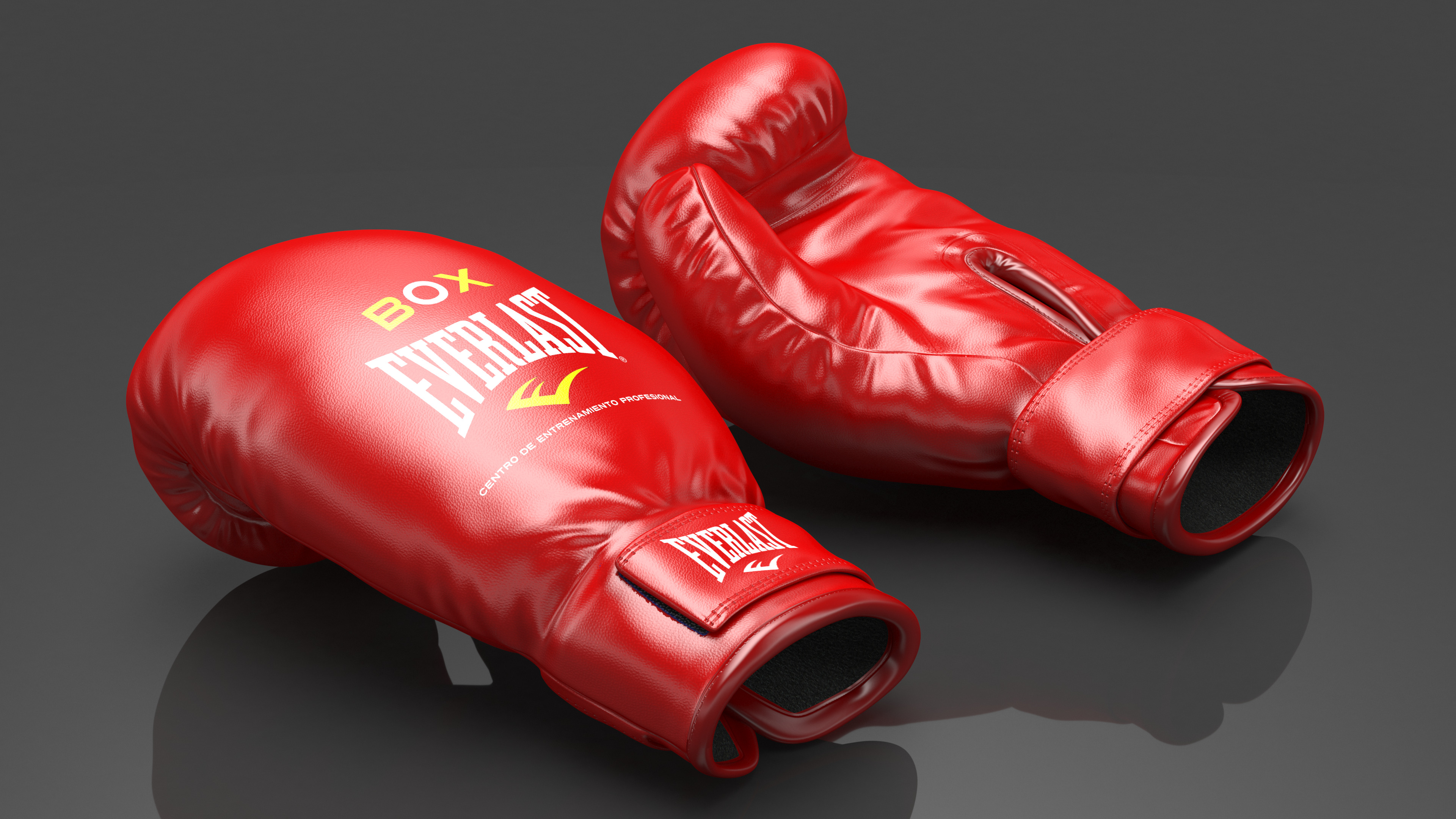 3D Training Boxing Gloves Everlast