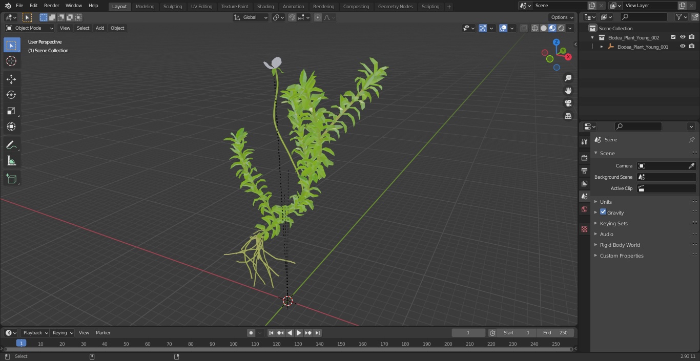 3D Elodea Plant Young model