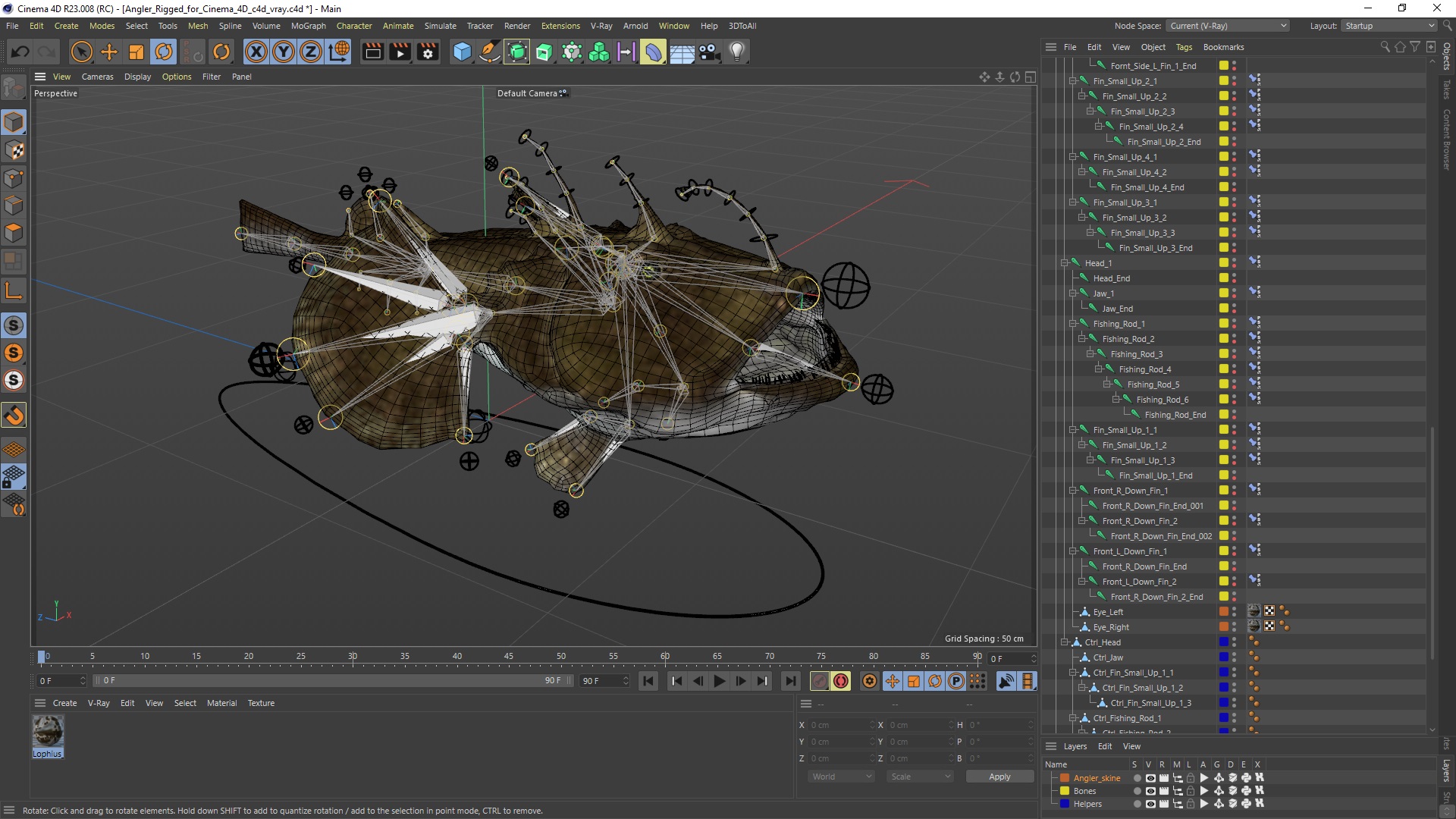 Angler Rigged for Cinema 4D 3D