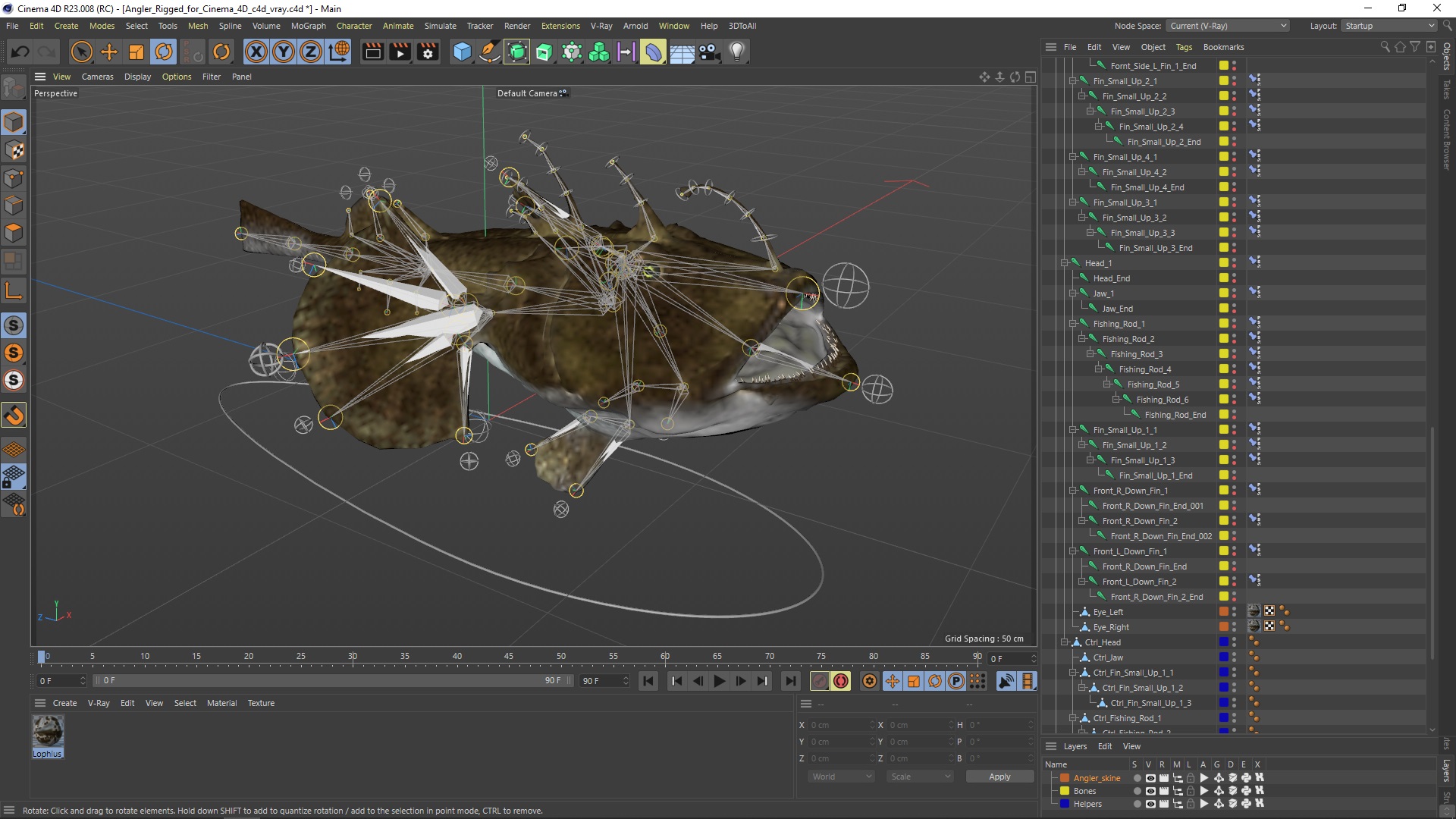 Angler Rigged for Cinema 4D 3D