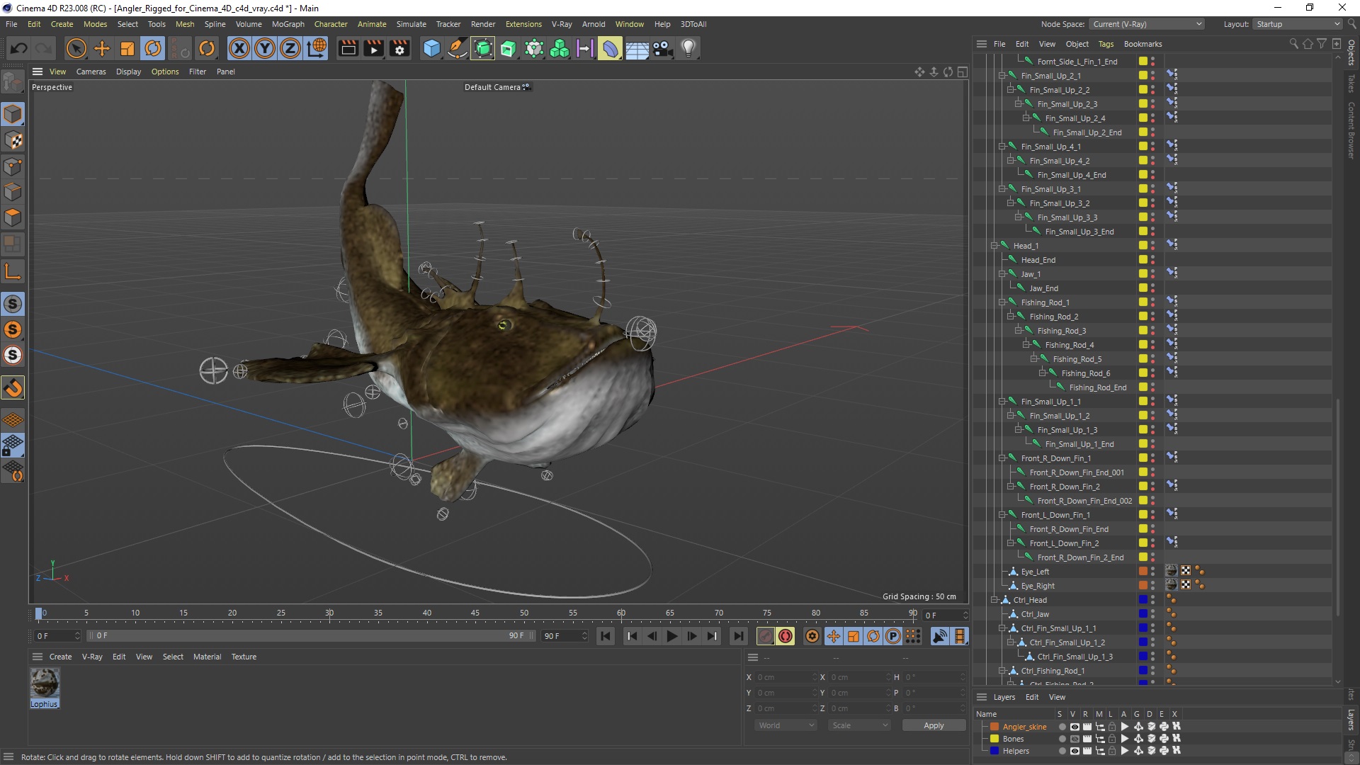 Angler Rigged for Cinema 4D 3D