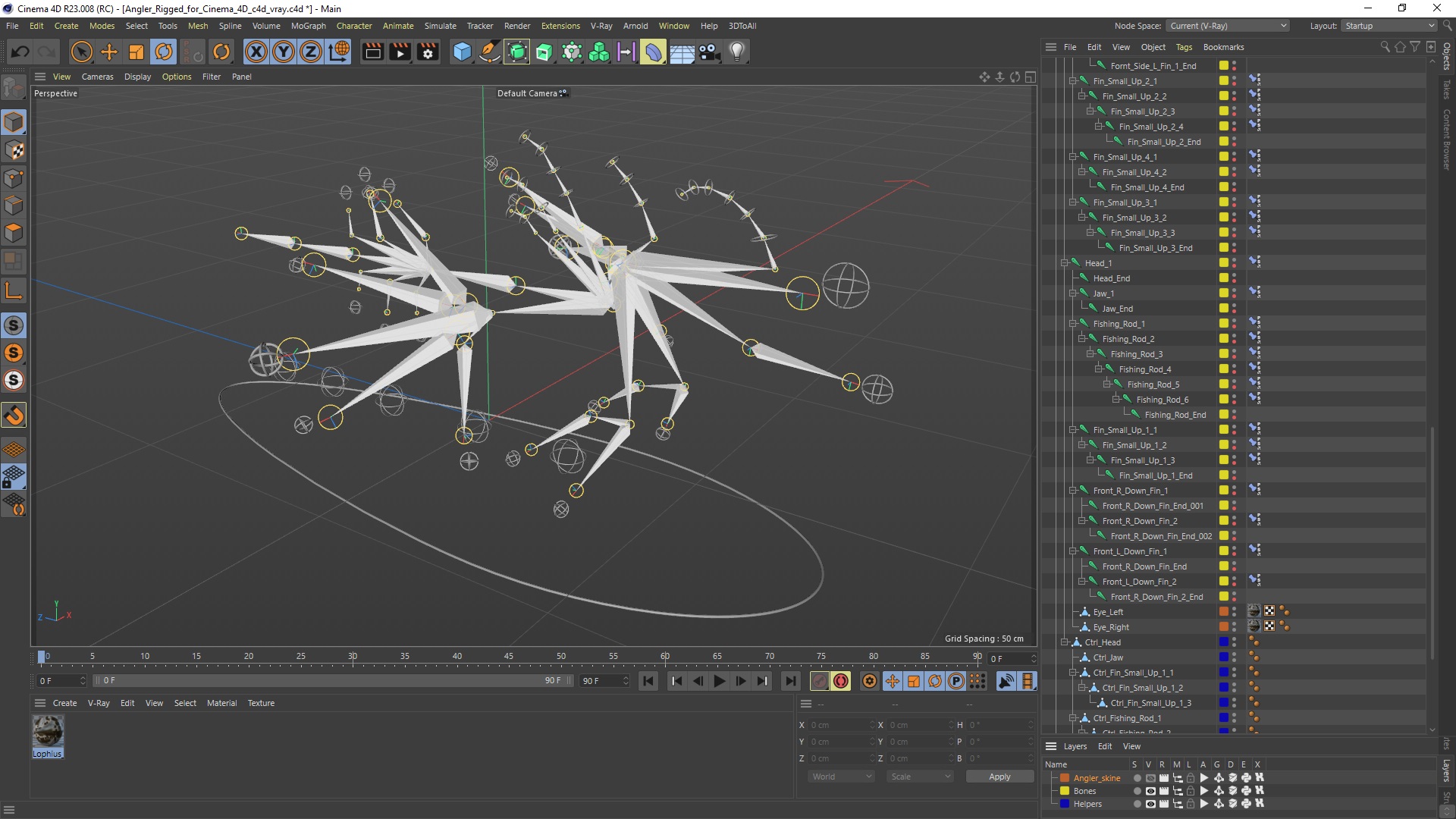 Angler Rigged for Cinema 4D 3D