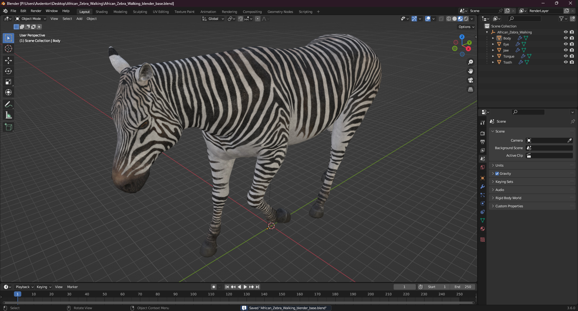 3D African Zebra Walking